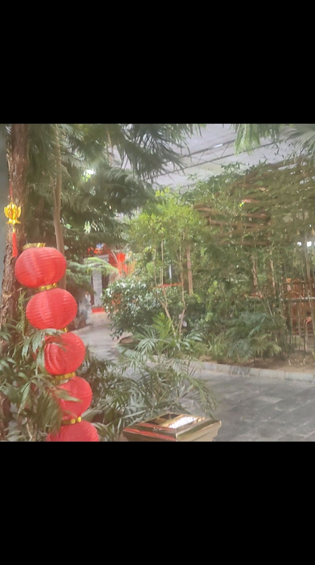 承启观光园旅行图片 1