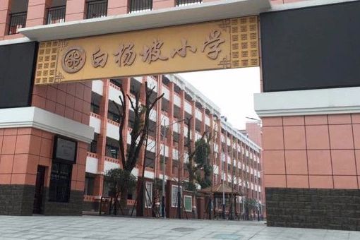 岳阳楼区白杨坡小学