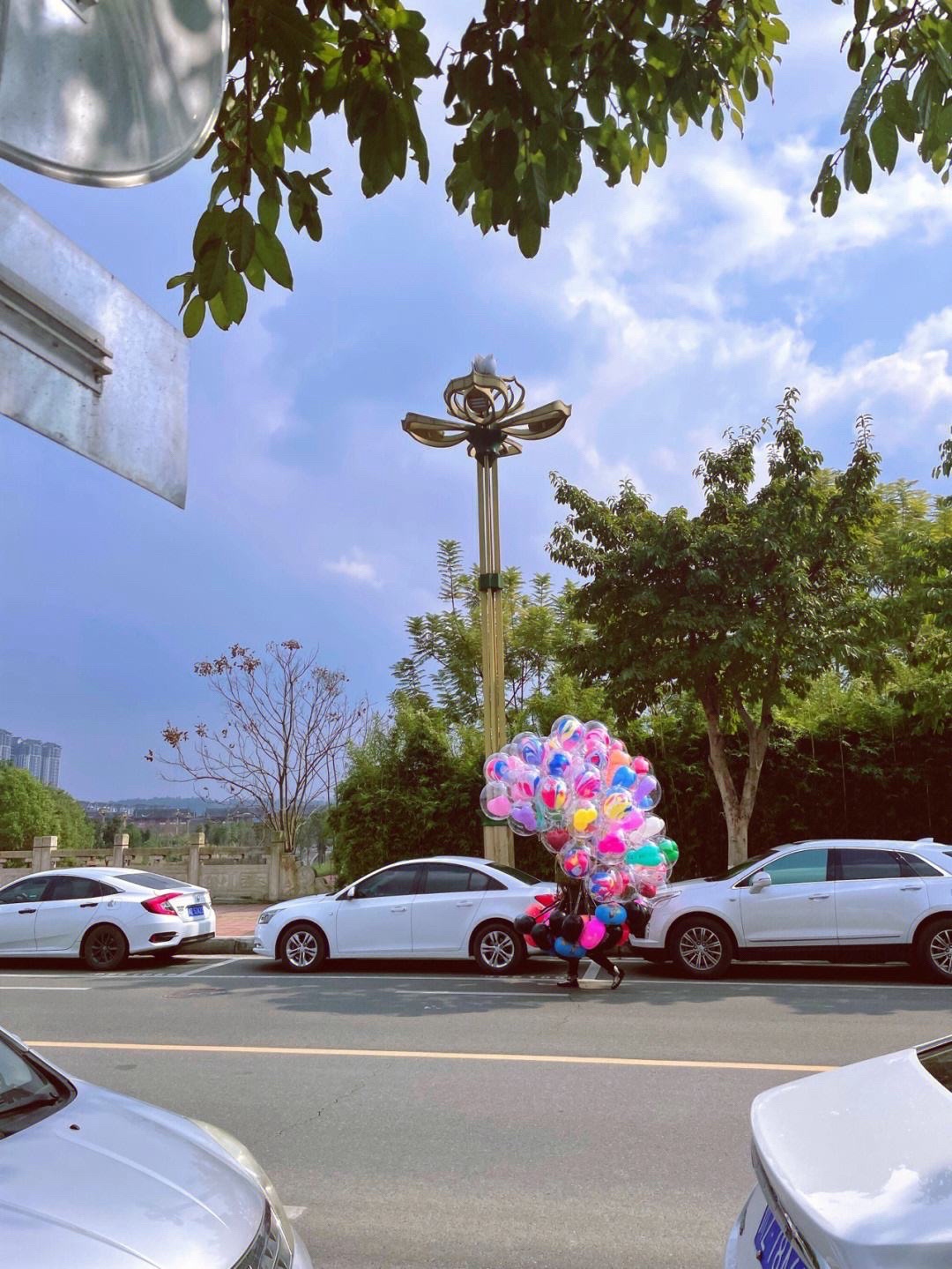 梅山湿地公园旅行图片 1