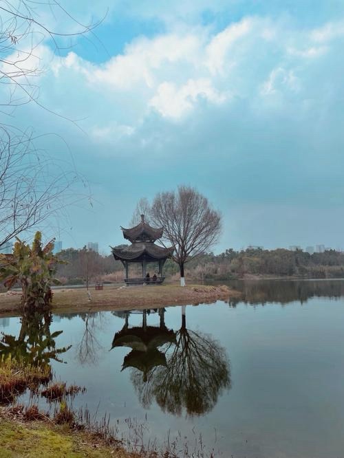 梅山湿地公园旅行图片 3