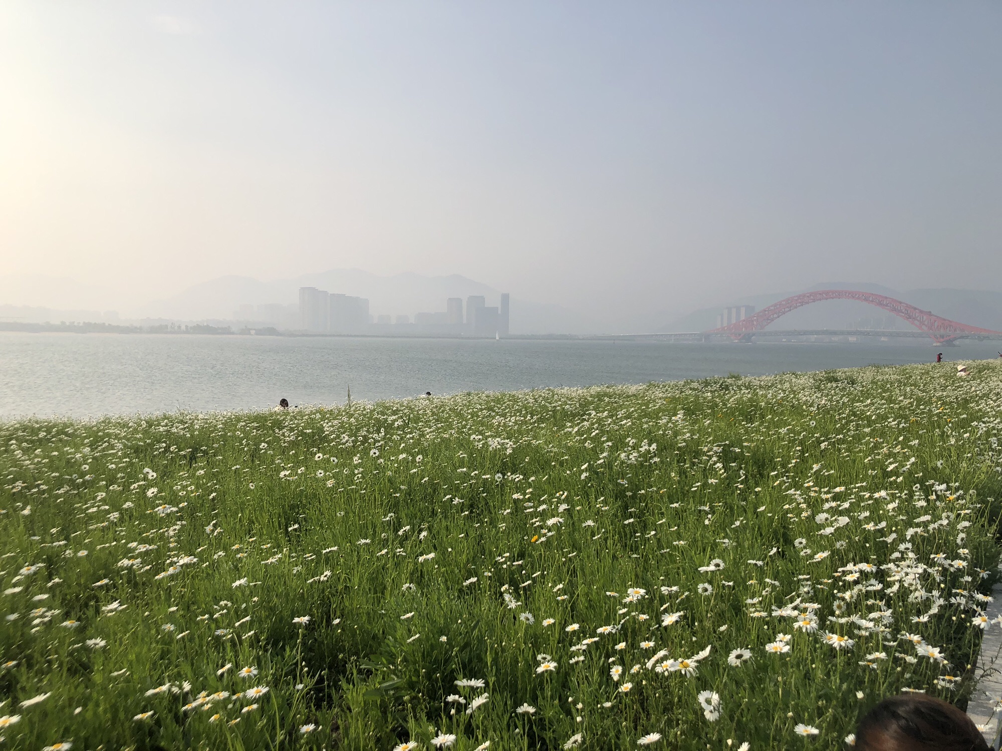 梅山湿地公园旅行图片 3