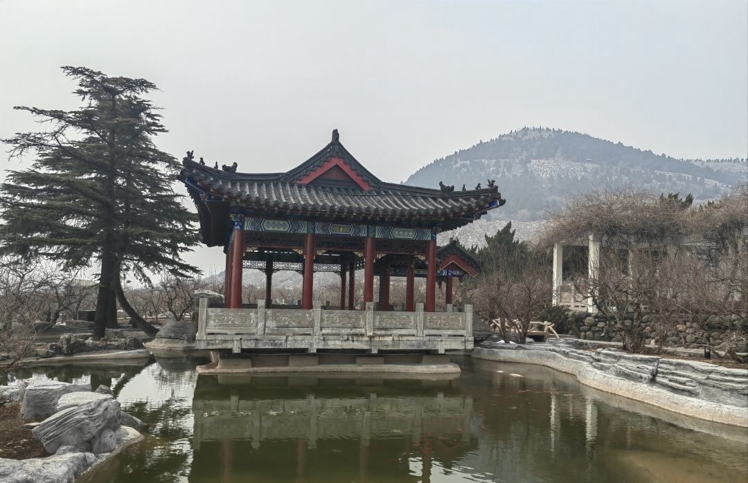 万福园旅行图片 3