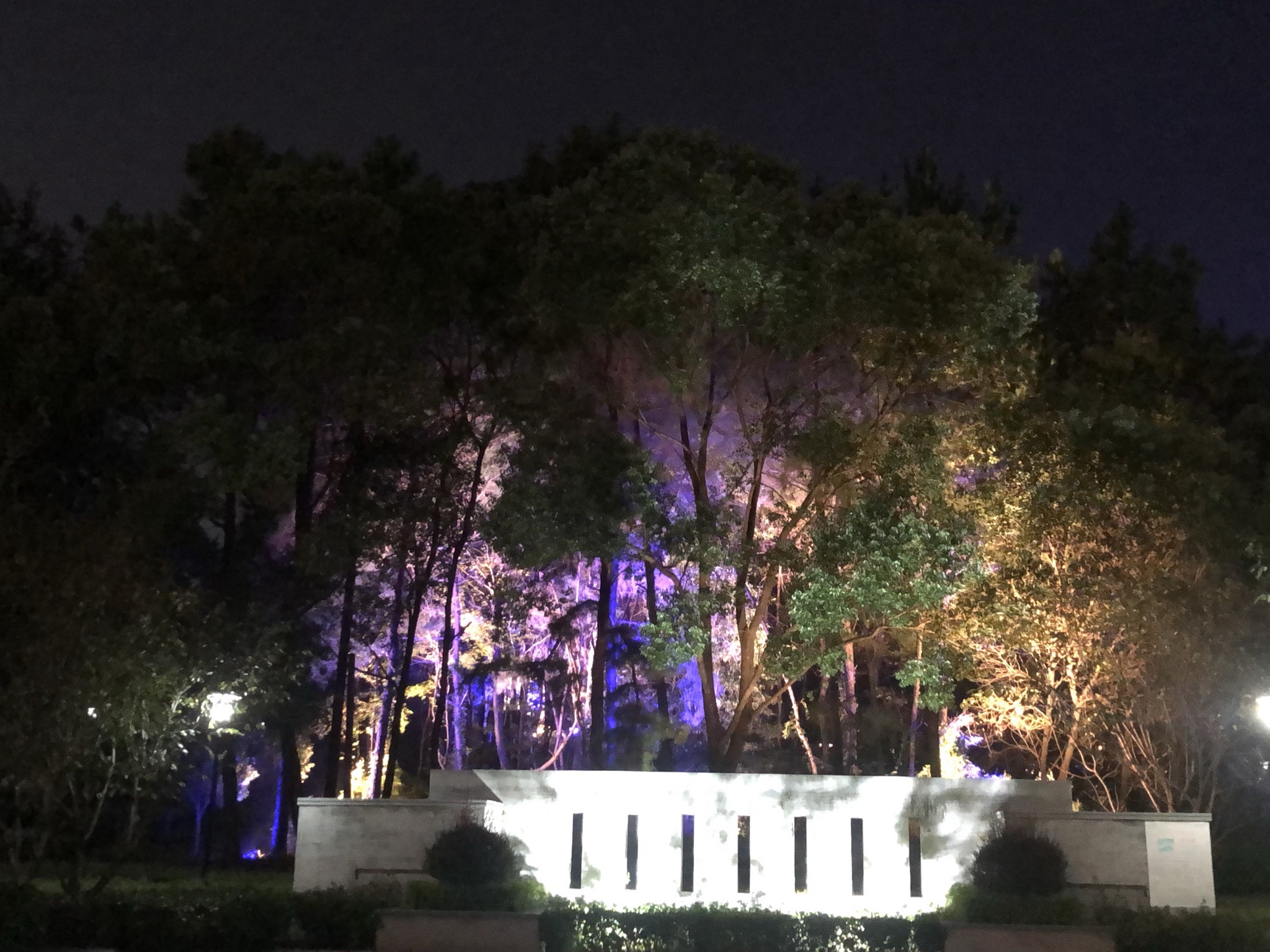 瑞阳湖湿地公园旅行图片 1
