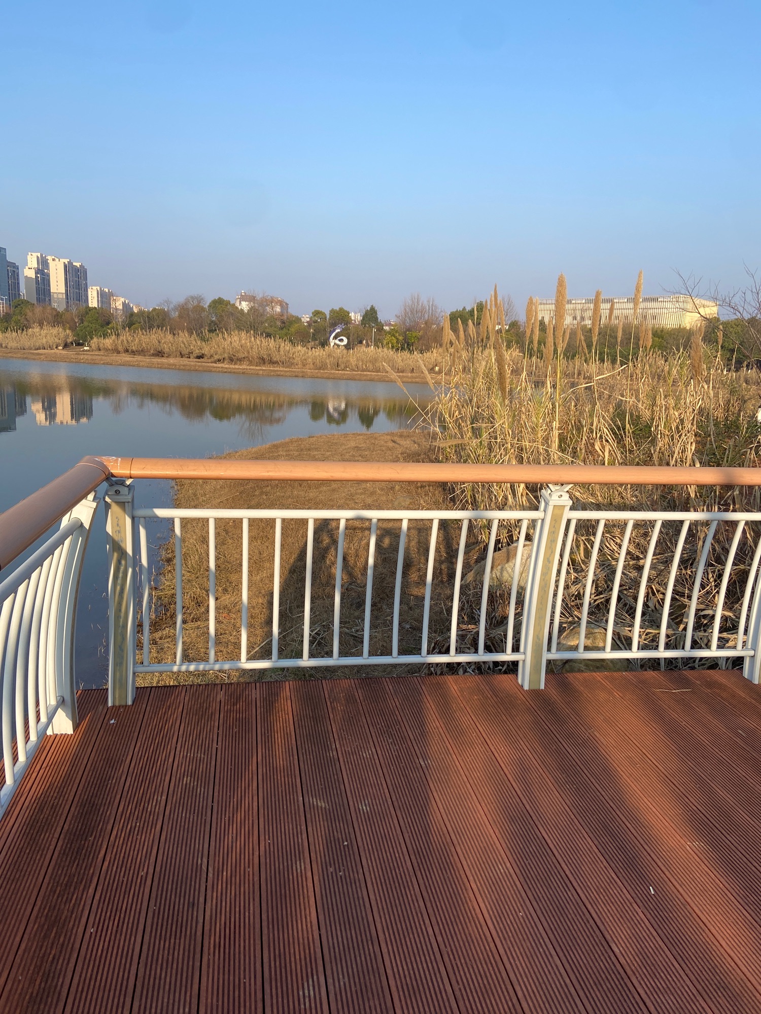 瑞阳湖湿地公园旅行图片 3