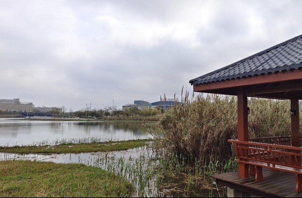 瑞阳湖湿地公园旅行图片 2