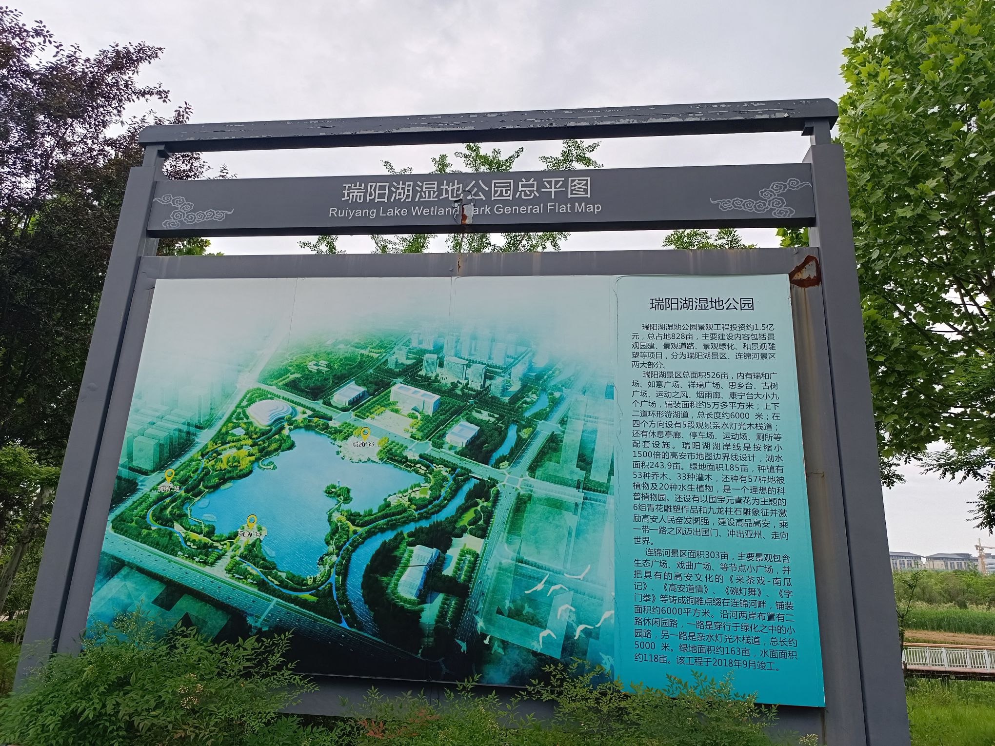 瑞阳湖湿地公园