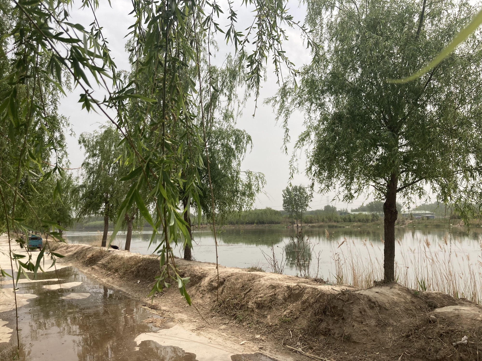西夏民俗风情园旅行图片 2