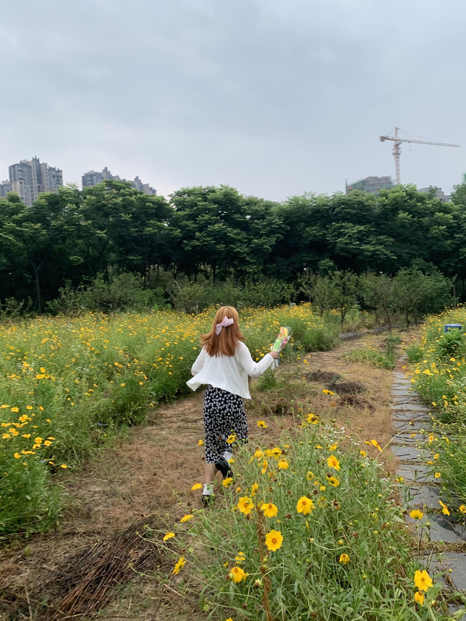 浔南城市森林公园旅行图片 1