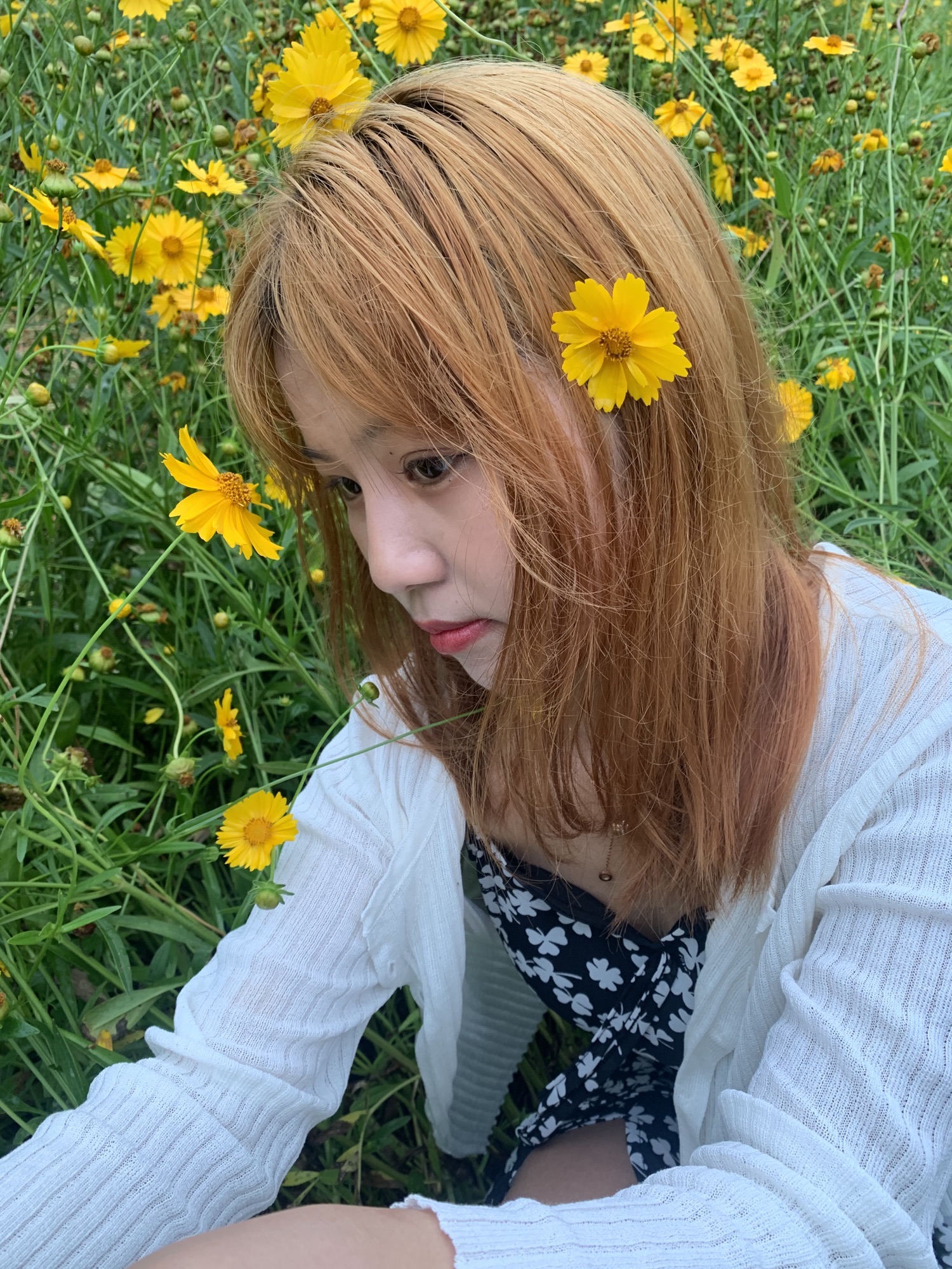 浔南城市森林公园旅行图片 3
