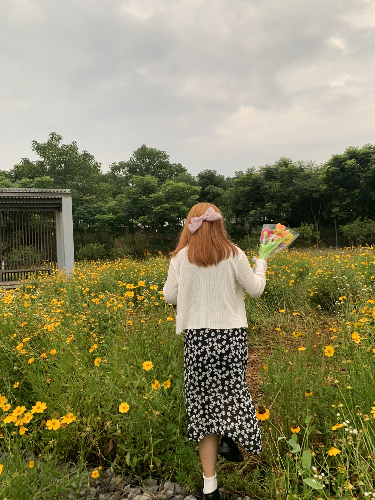 浔南城市森林公园旅行图片 2