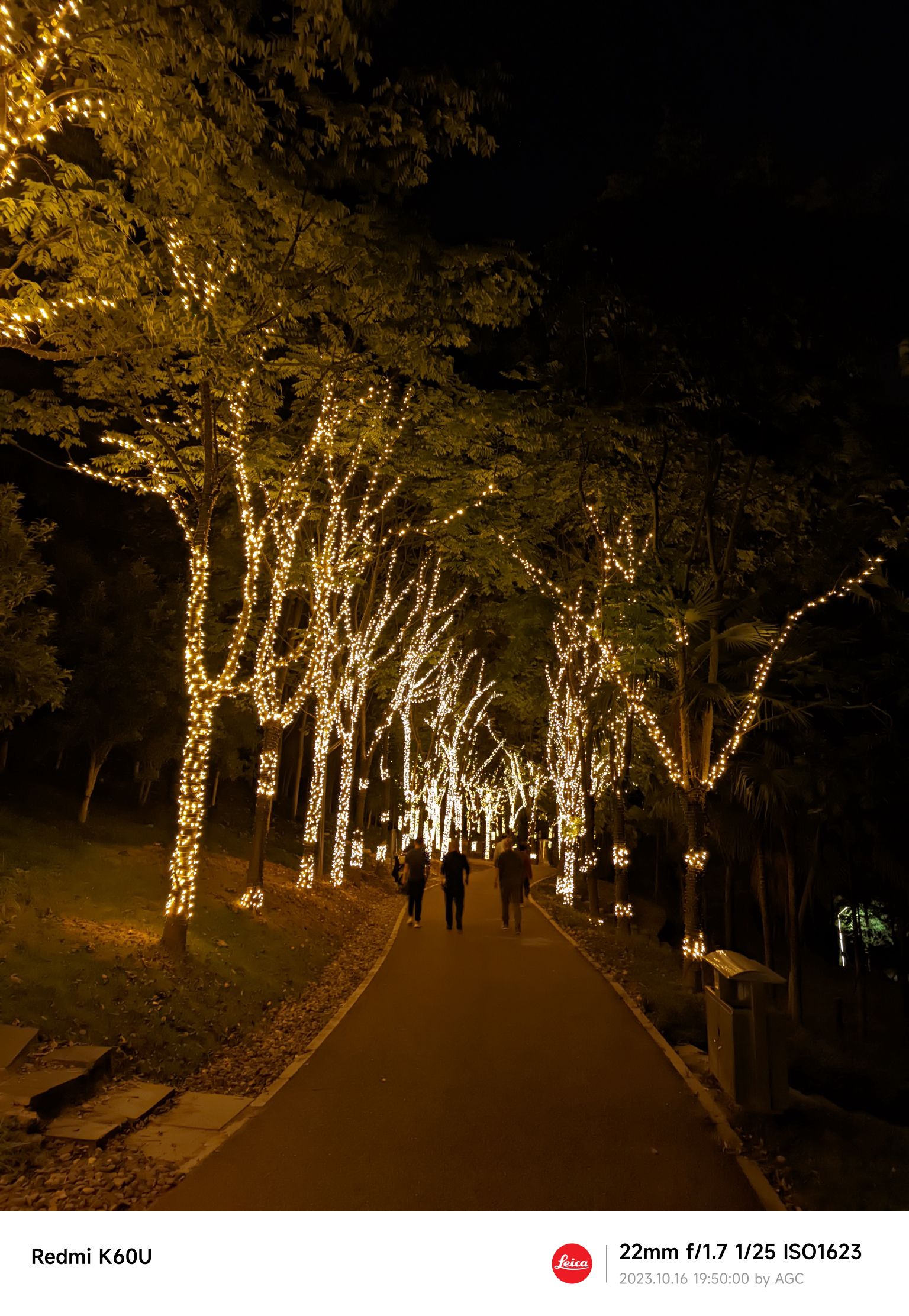 浔南城市森林公园旅行图片 3