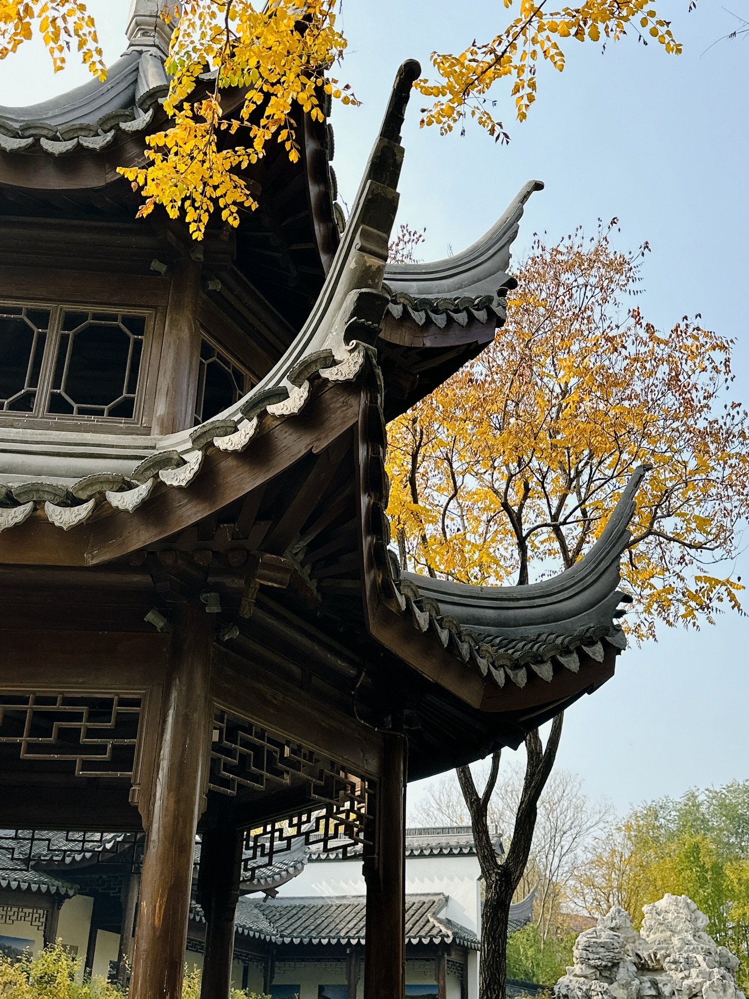 问津园公园旅行图片 1