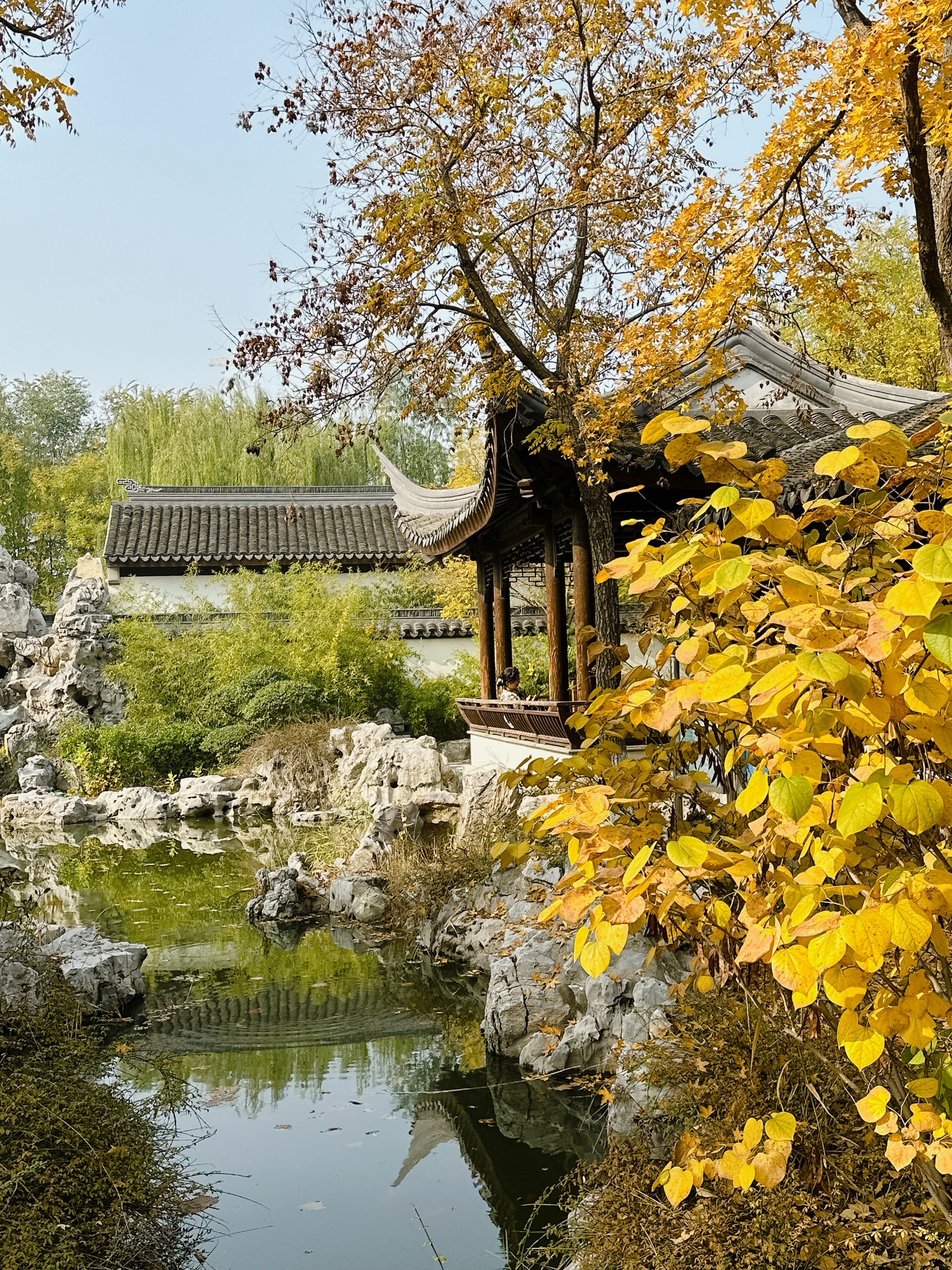 问津园公园旅行图片 2