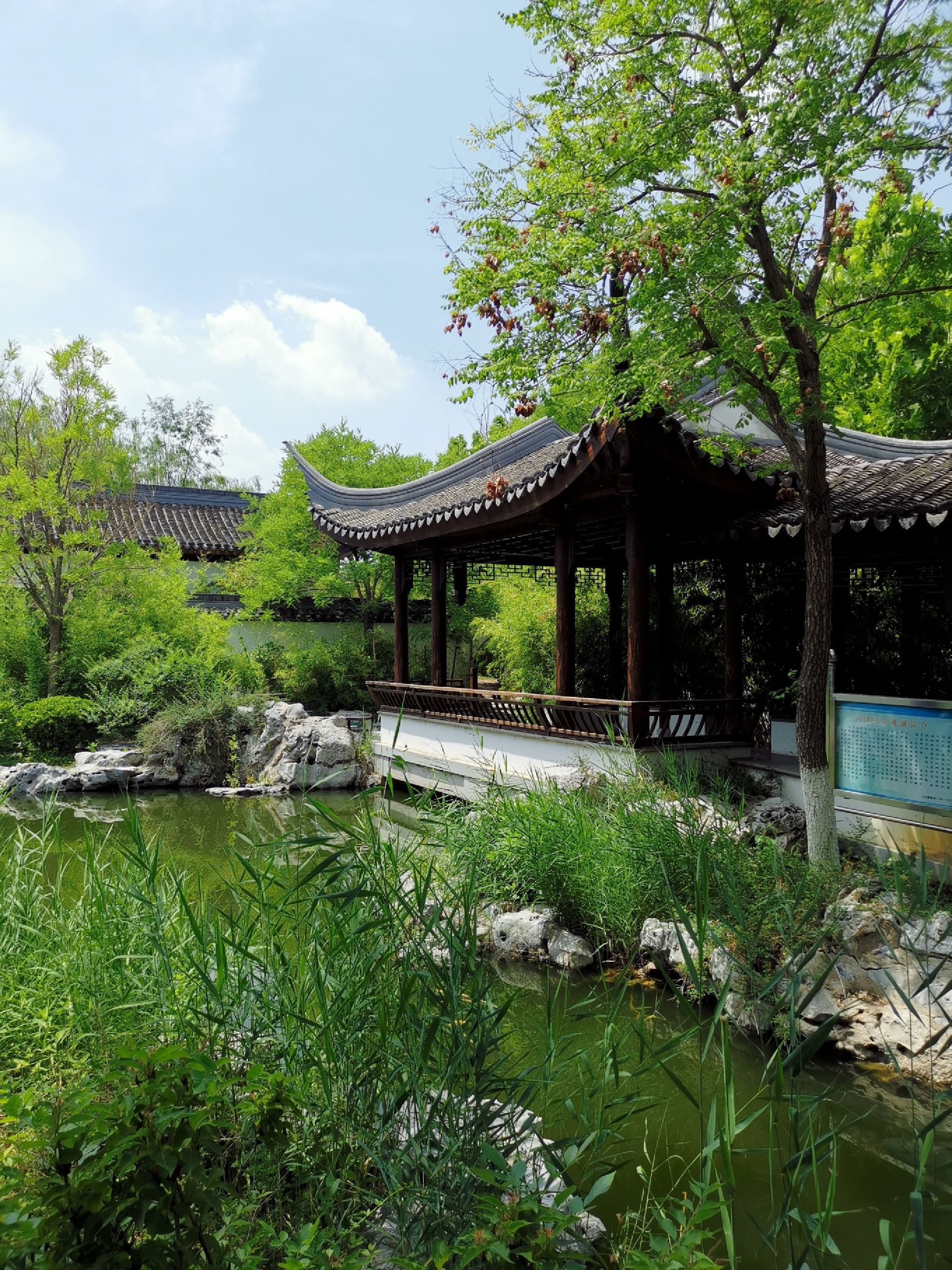 问津园公园旅行图片 2