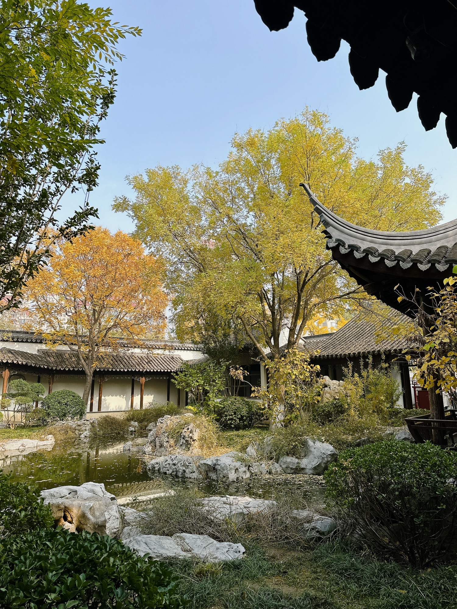 问津园公园旅行图片 3