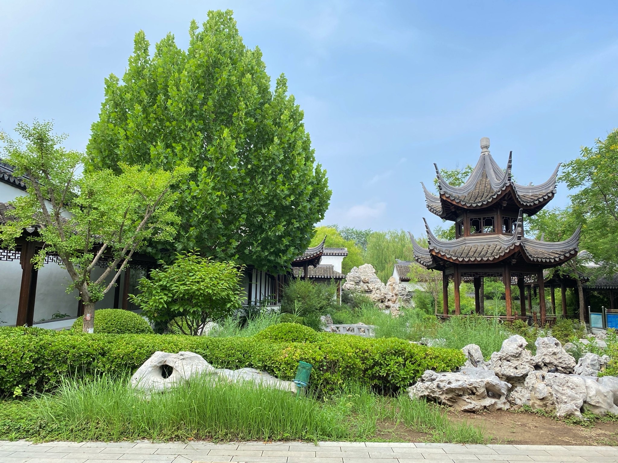 问津园公园旅行图片 1
