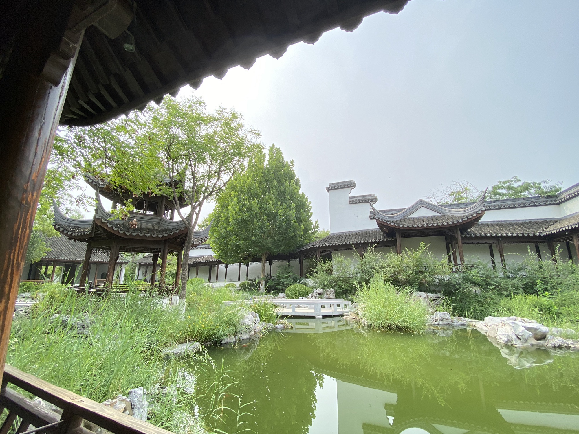 问津园公园旅行图片 3