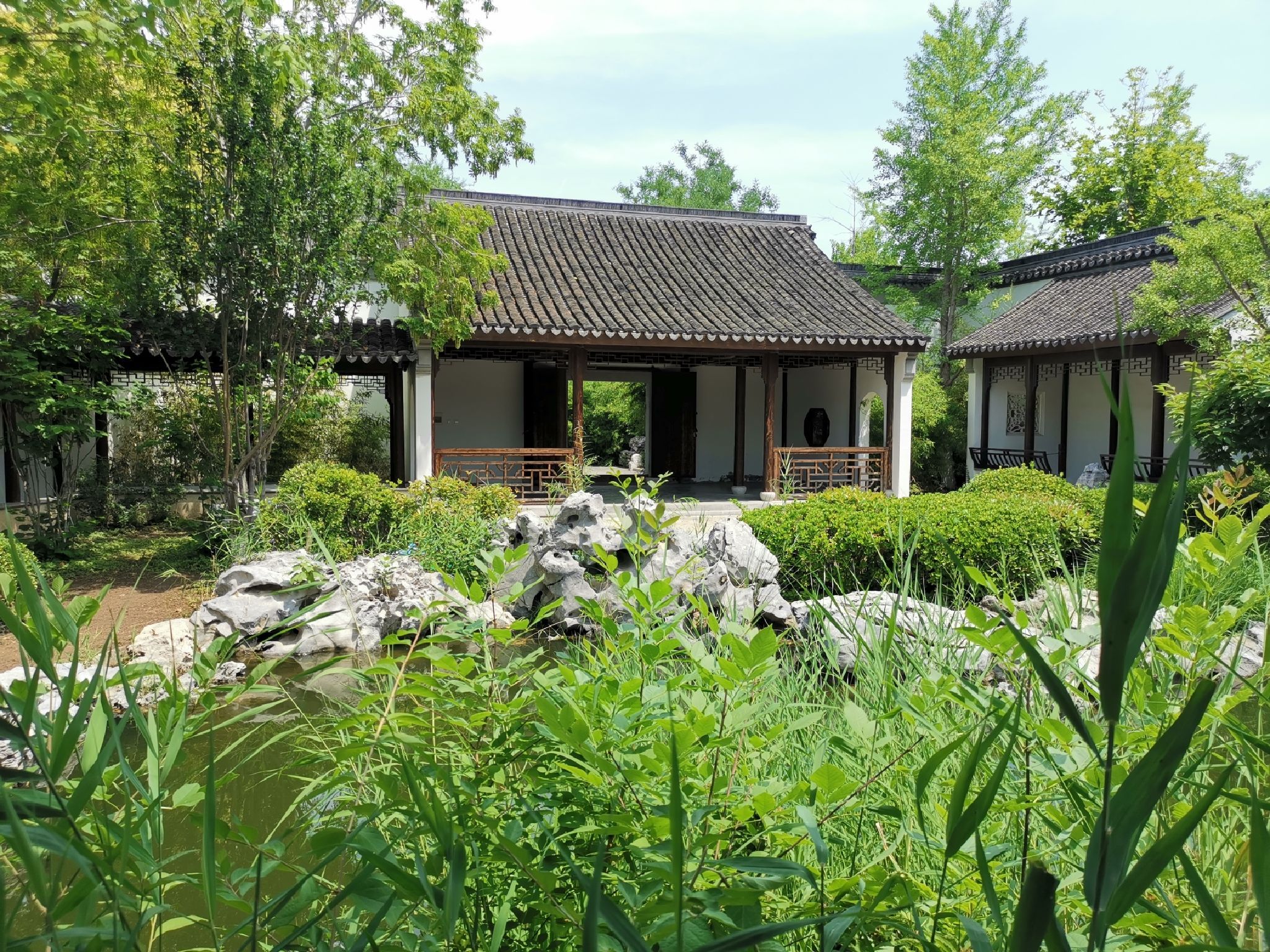 问津园公园旅行图片 3