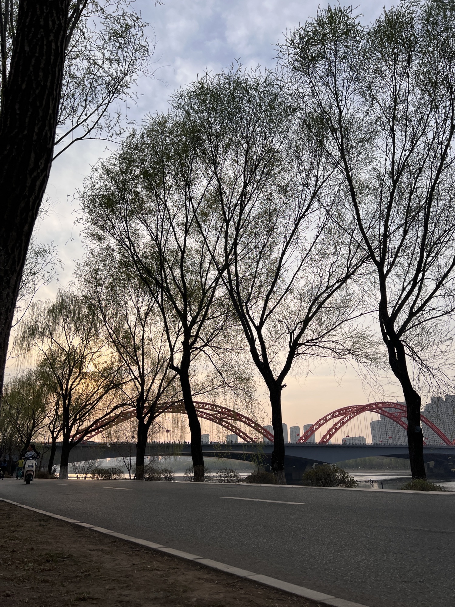 奥林匹克生态公园-滩地公园旅行图片 2