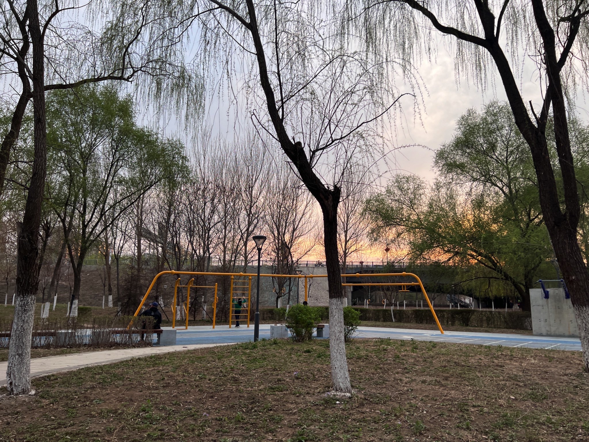 奥林匹克生态公园-滩地公园旅行图片 1