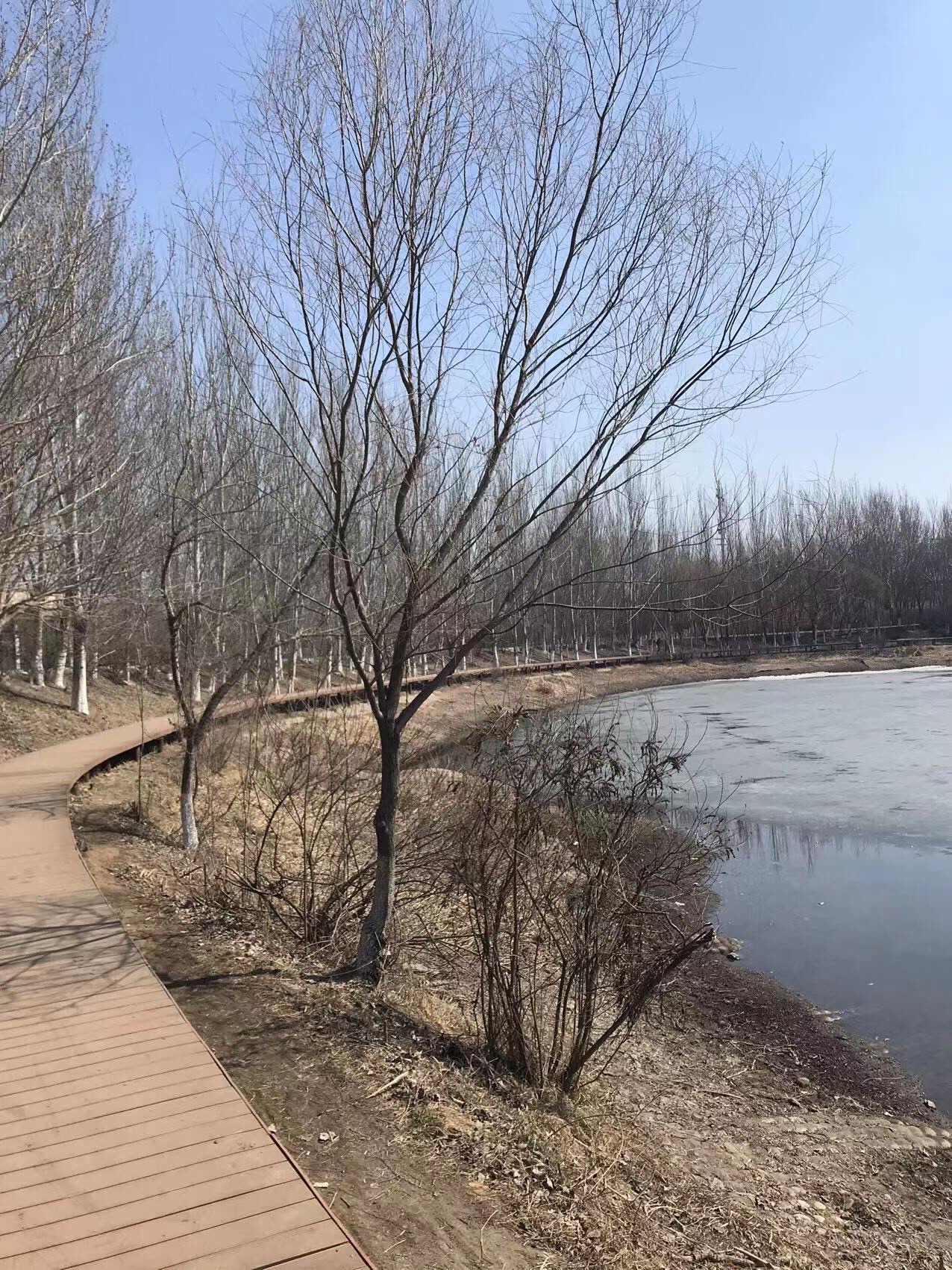 奥林匹克生态公园-滩地公园旅行图片 3