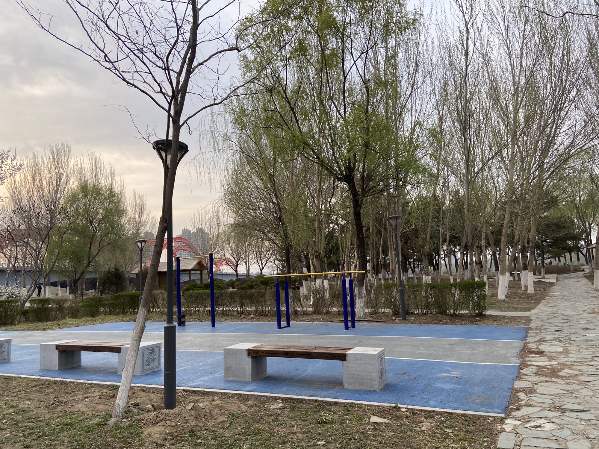 奥林匹克生态公园-滩地公园旅行图片 2