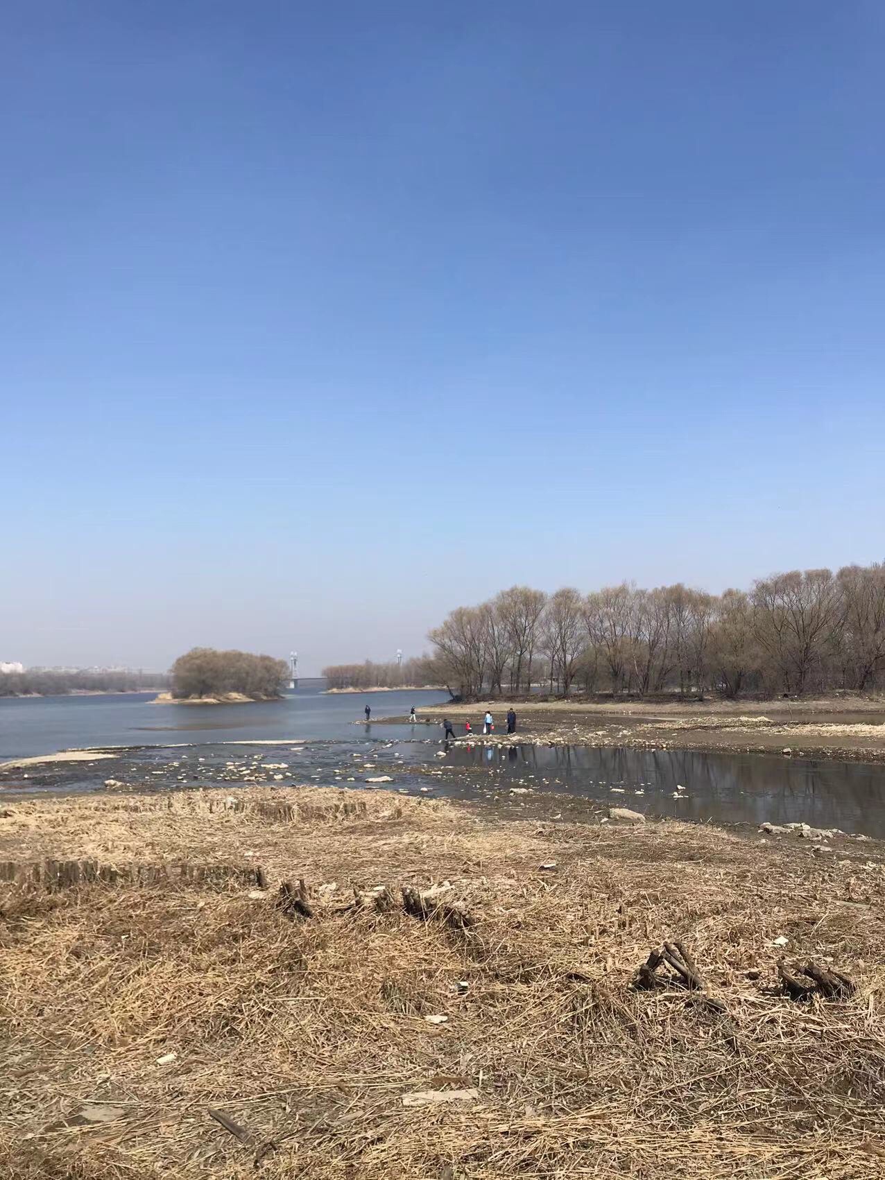 奥林匹克生态公园-滩地公园旅行图片 2