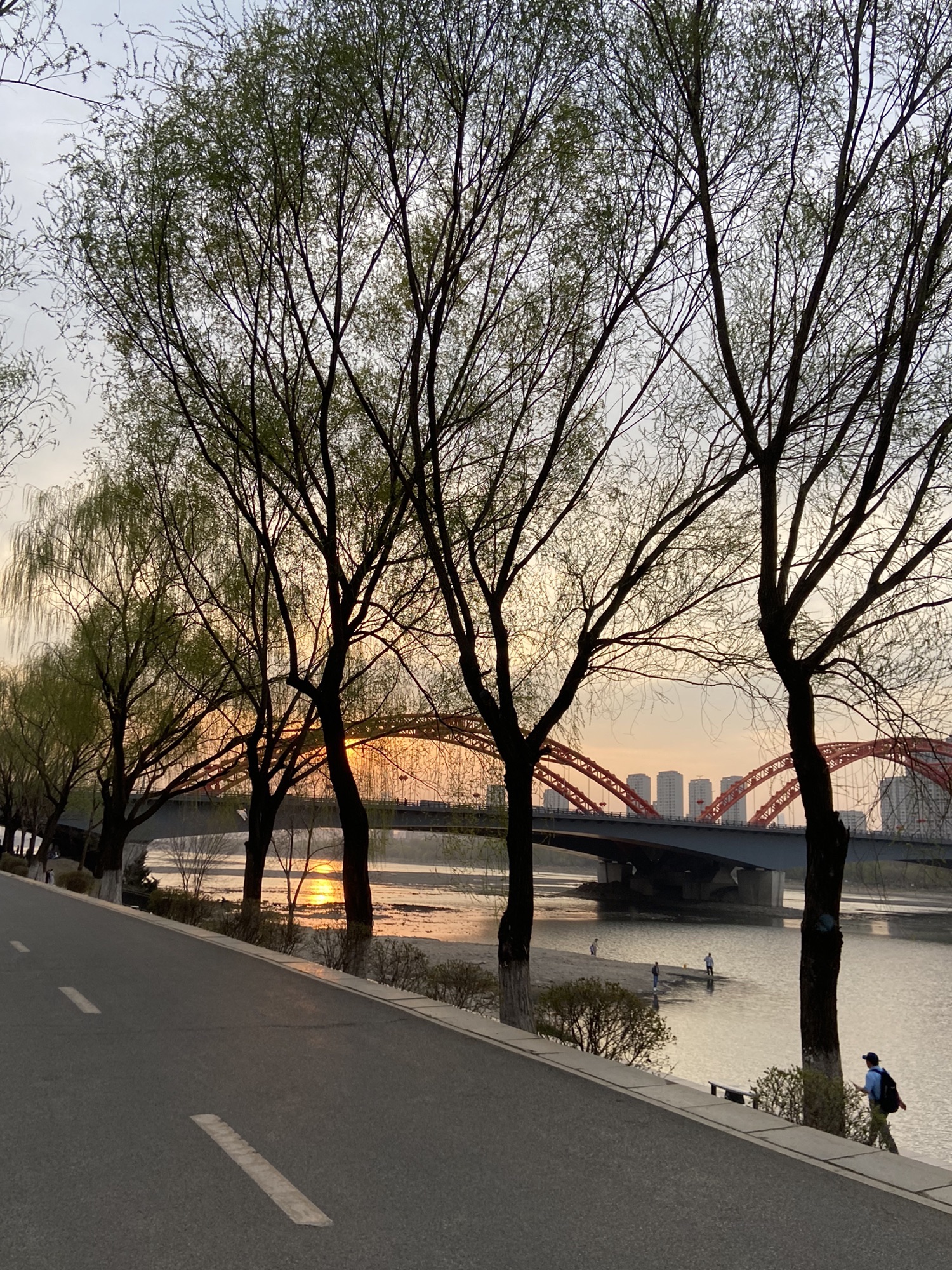 奥林匹克生态公园-滩地公园旅行图片 3