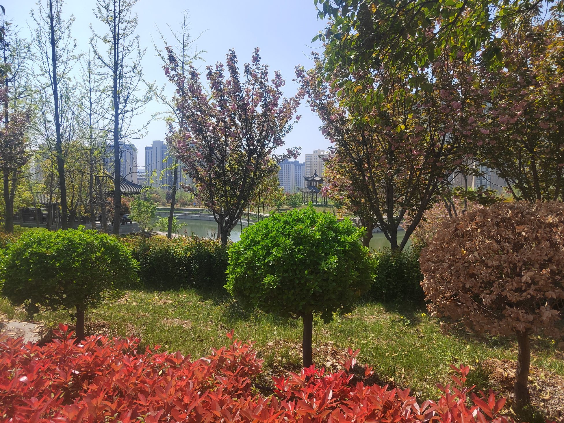 孟津区河图公园旅行图片 3