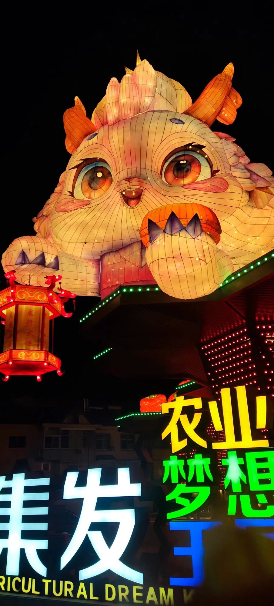 集发农业梦想王国旅行图片 1