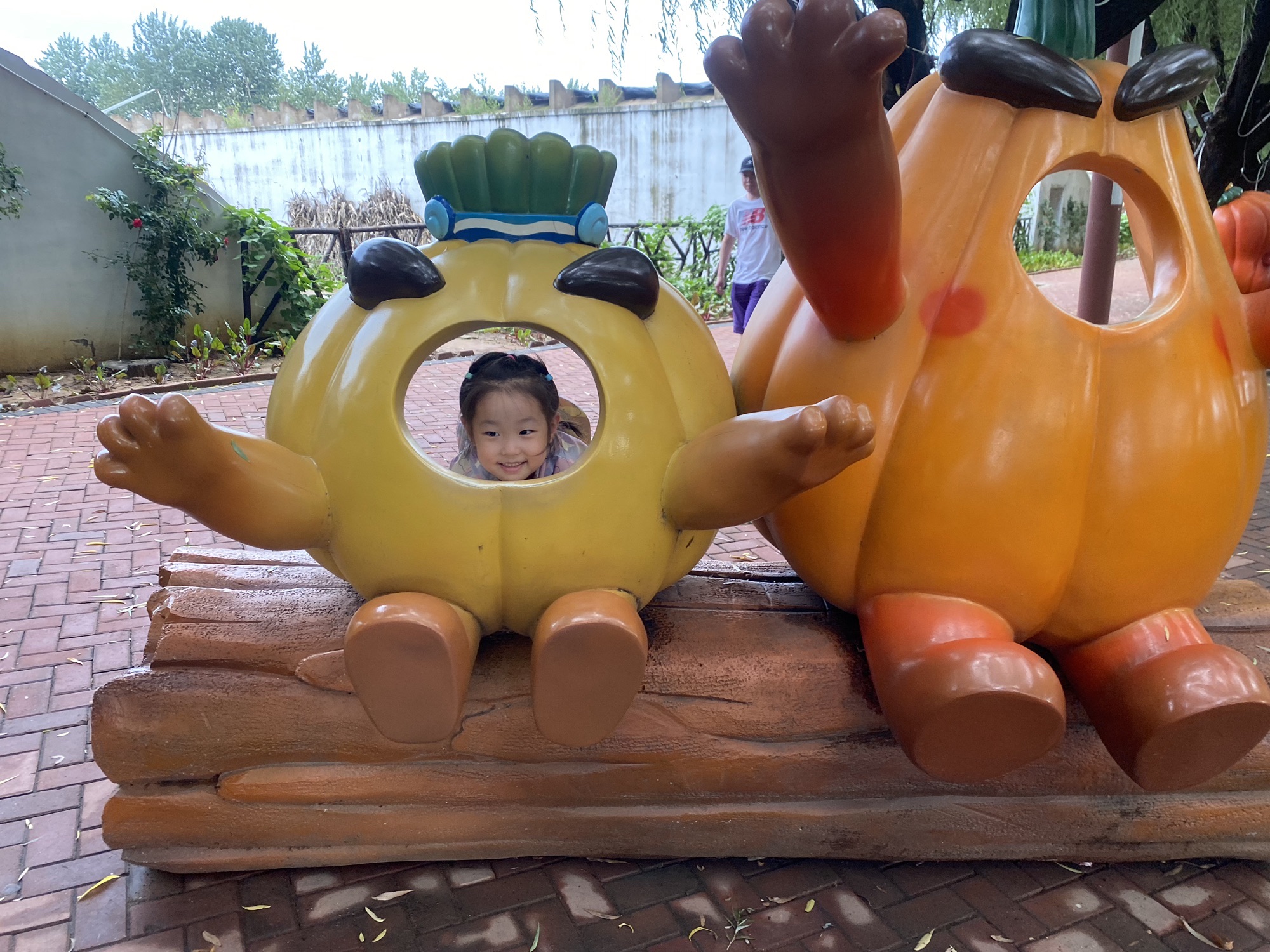 集发农业梦想王国旅行图片 1
