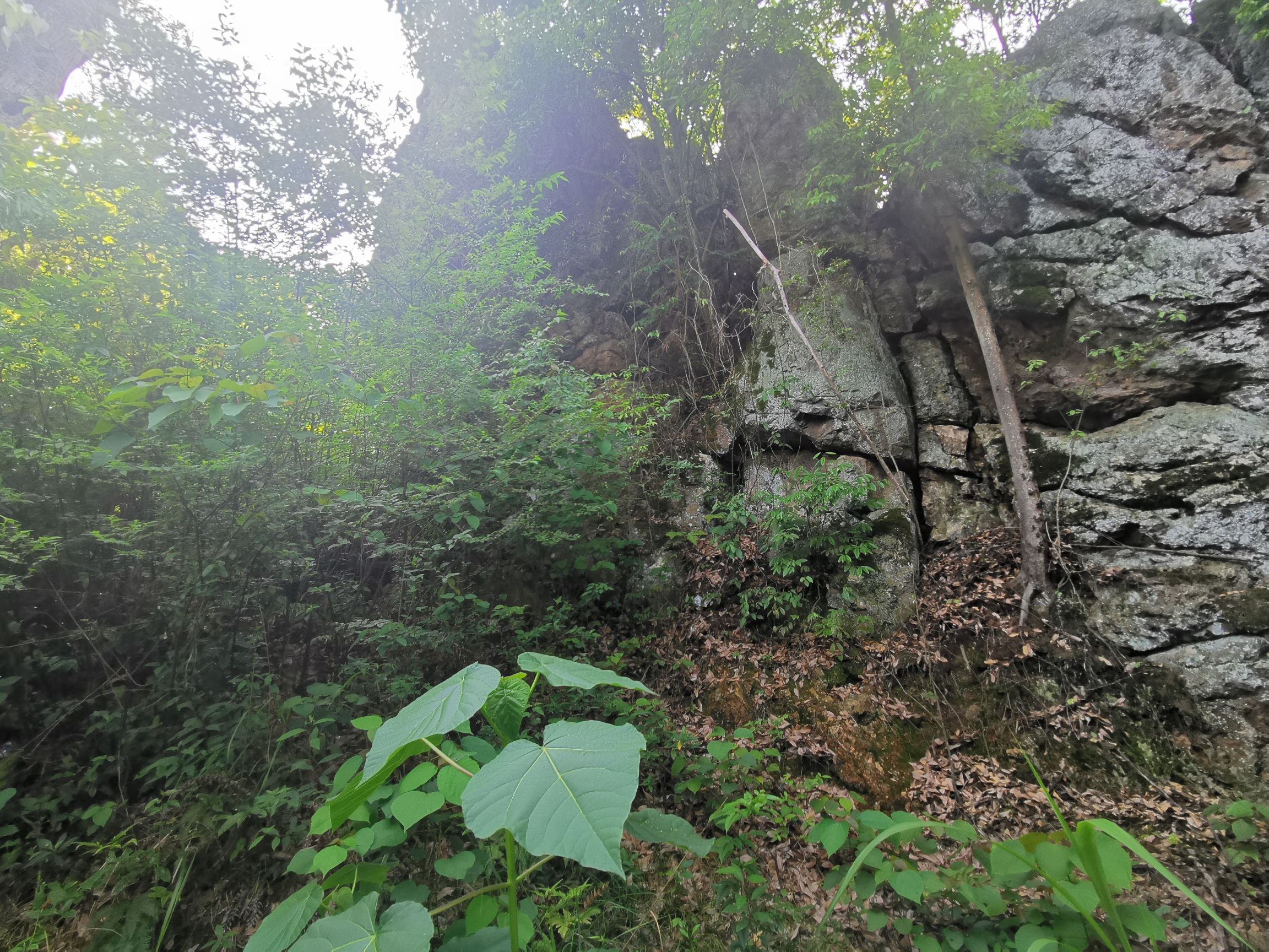 宜章县石虎山景区旅行图片 2