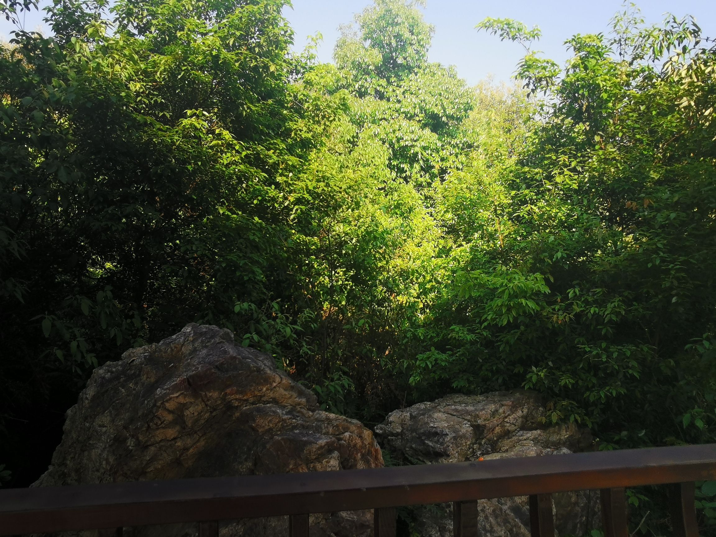 宜章县石虎山景区旅行图片 1