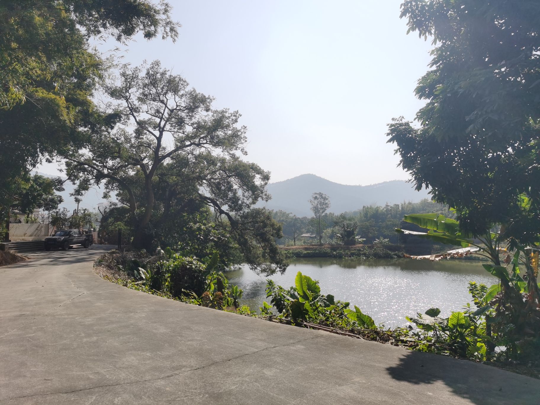 戴爱莲故居旅行图片 2