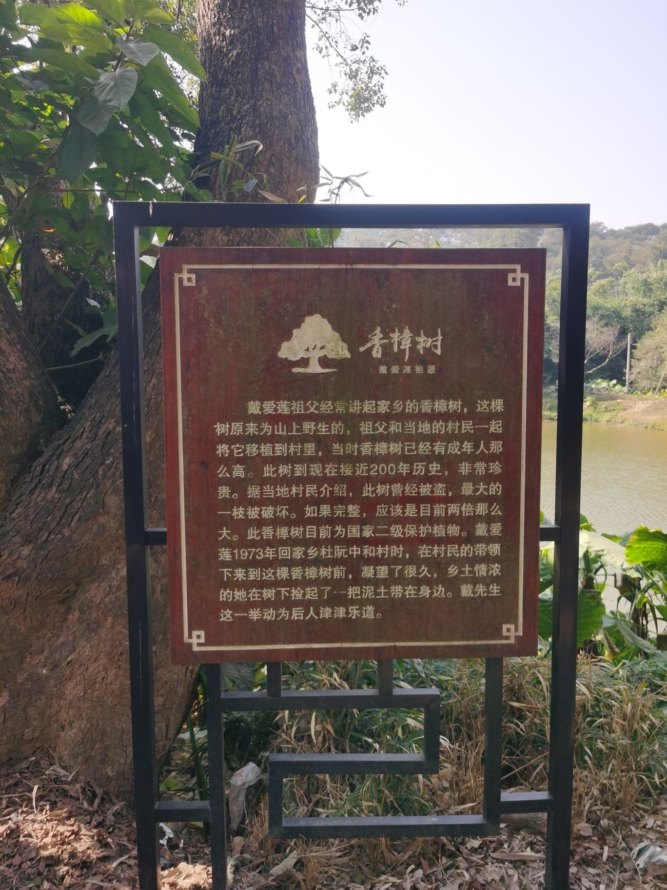 戴爱莲故居旅行图片 1