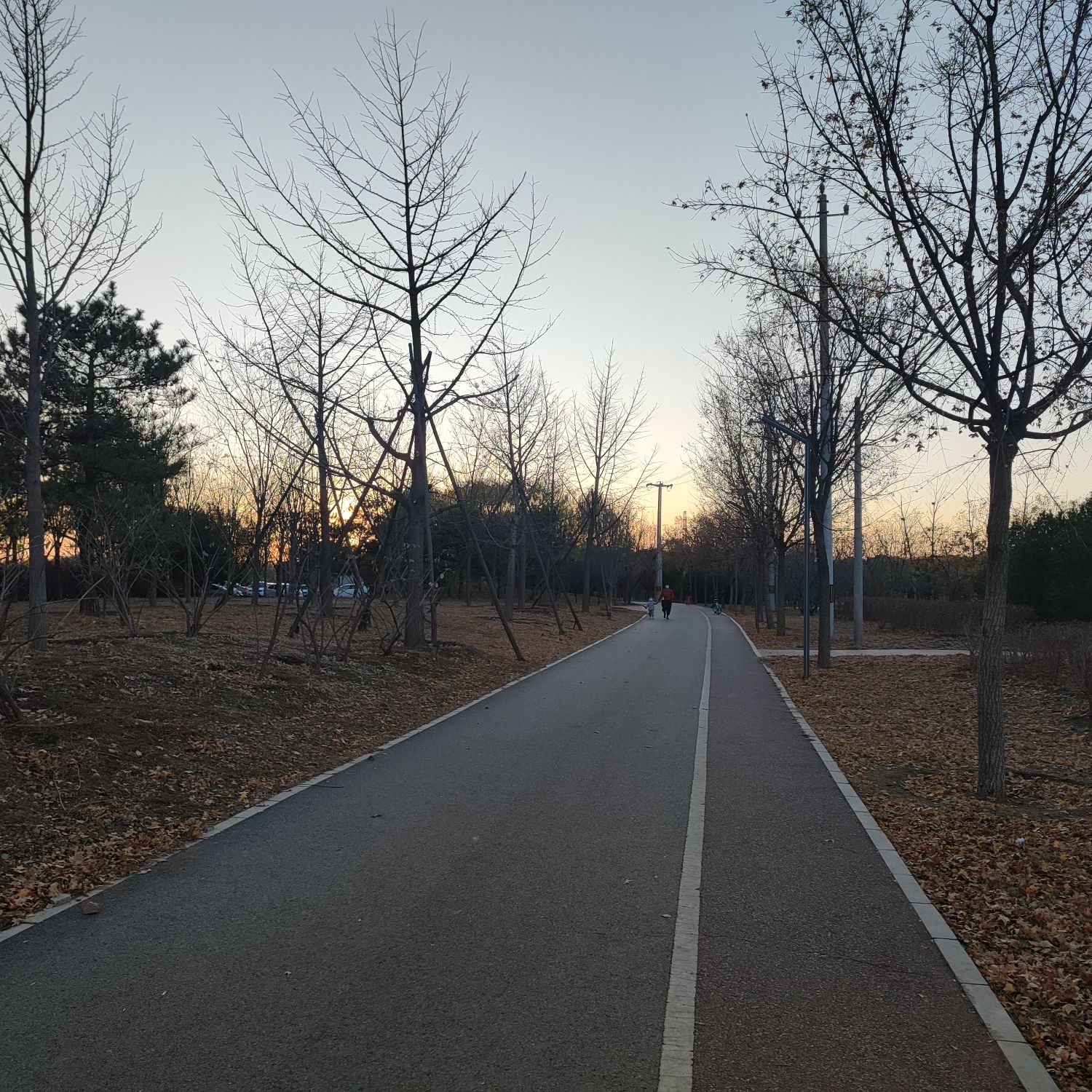坝河休闲公园旅行图片 3
