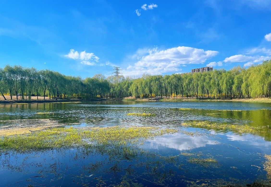 坝河休闲公园旅行图片 2