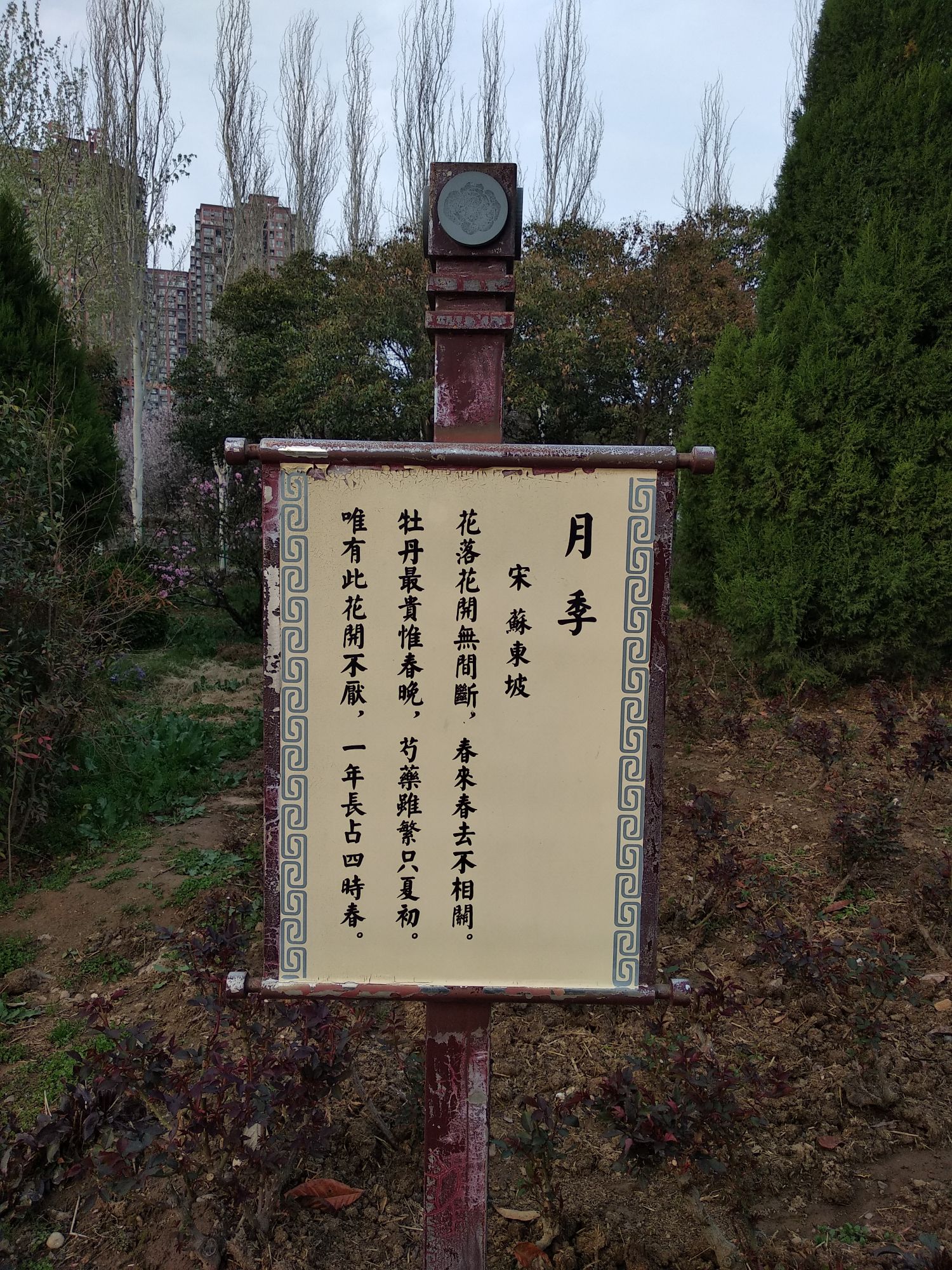 月季园旅行图片 2