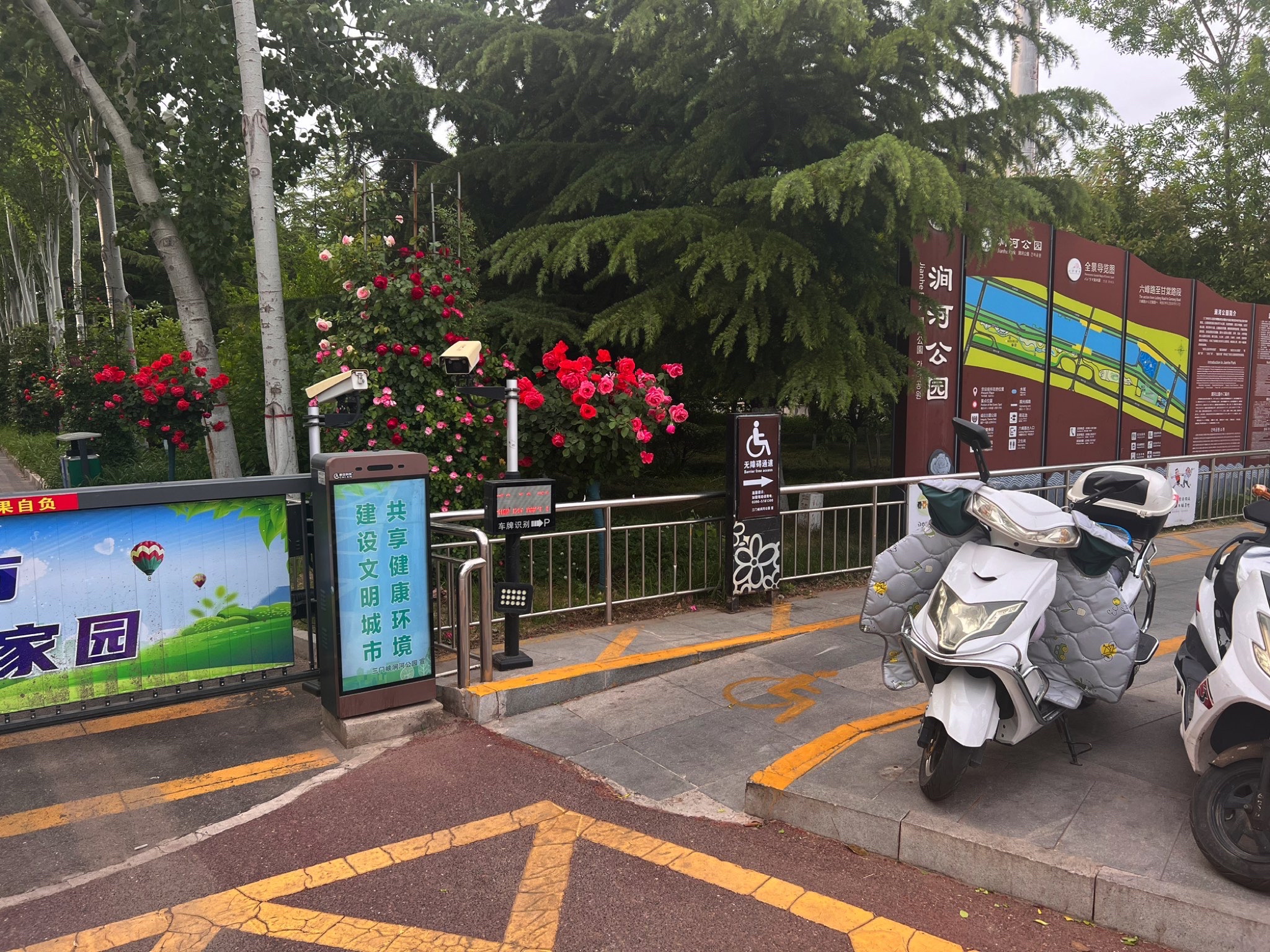 月季园旅行图片 1