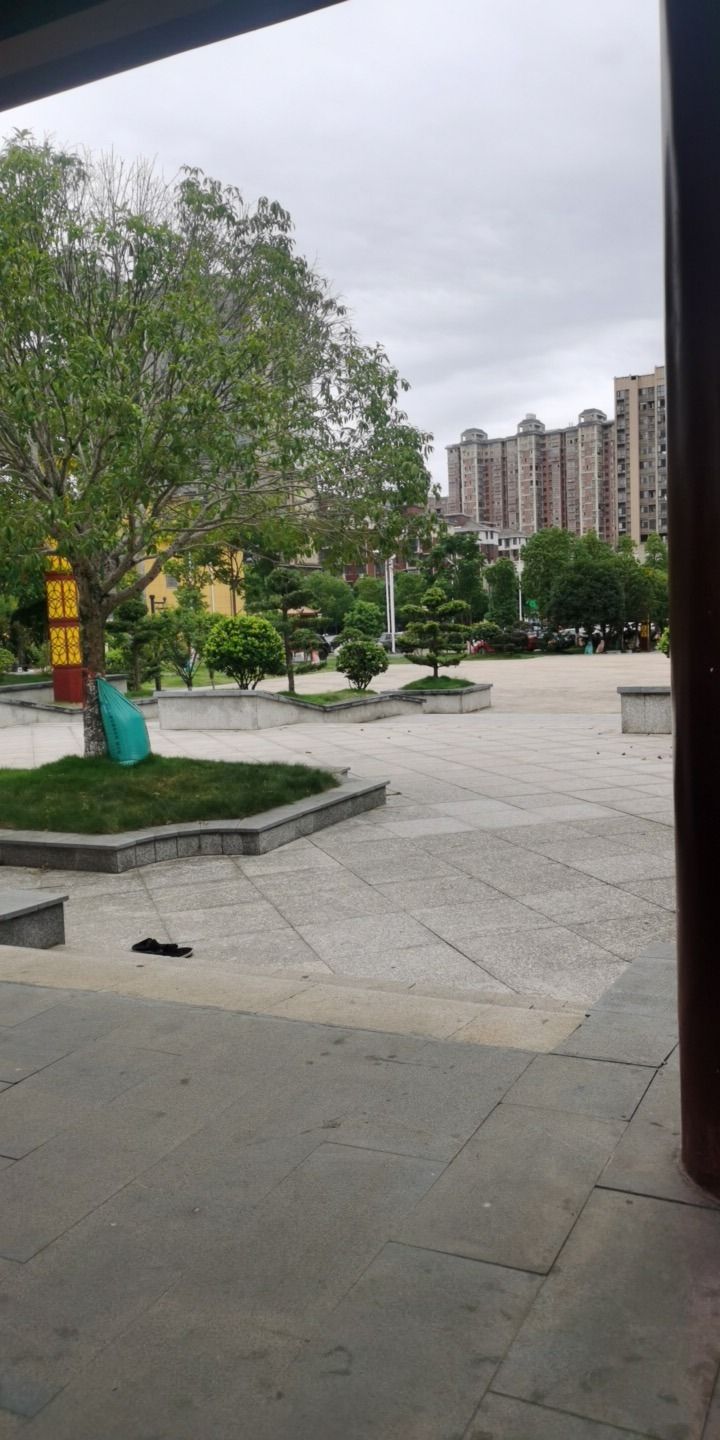 净心公园旅行图片
