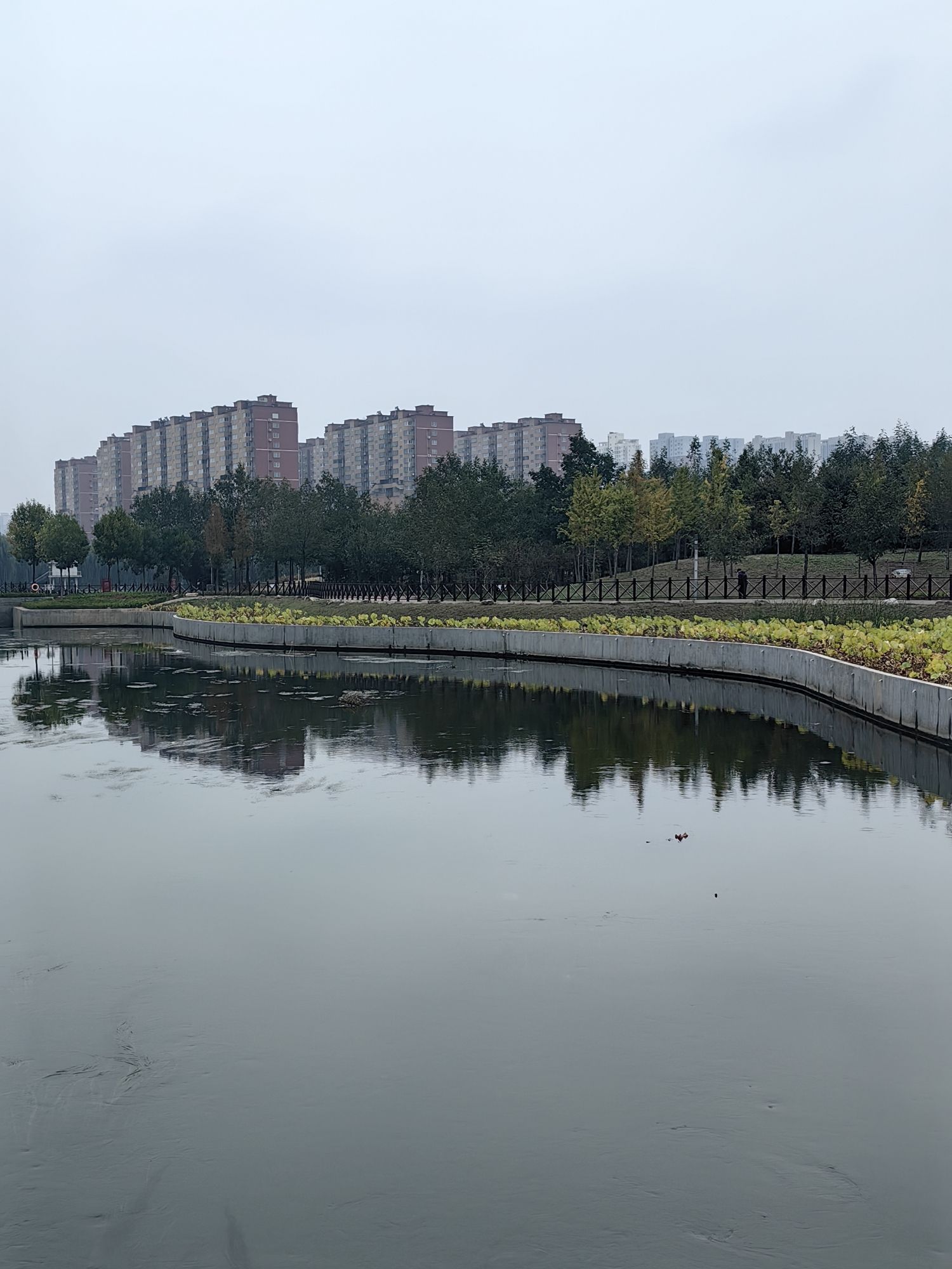 殷都公园旅行图片 1