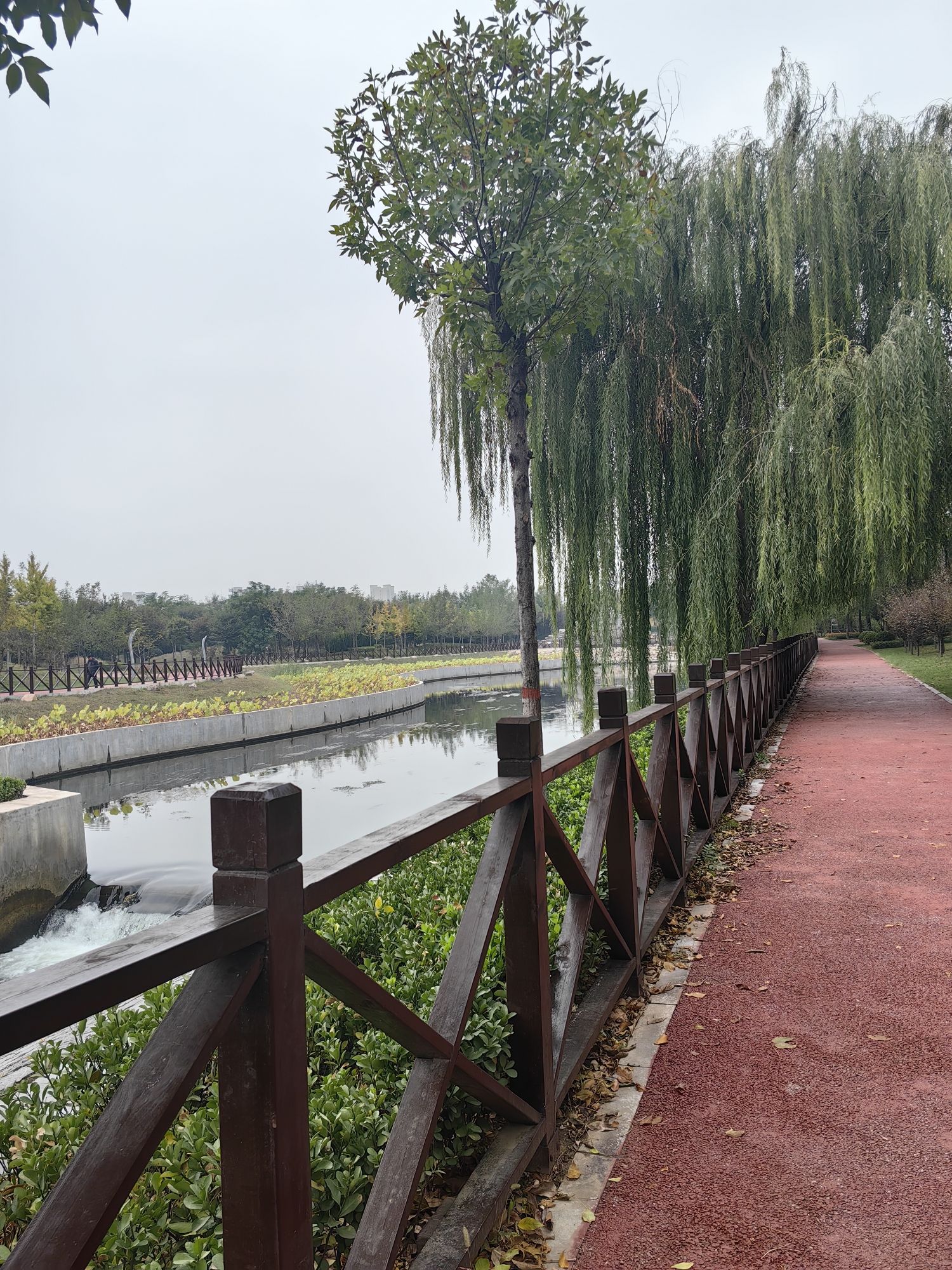 殷都公园旅行图片 2