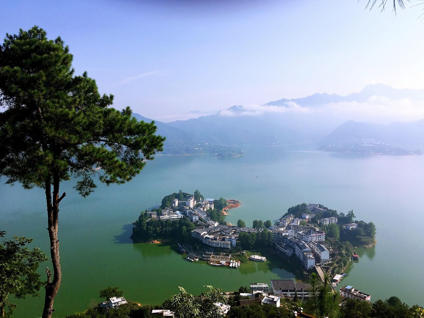 黄草镇金牛岛旅行图片 3