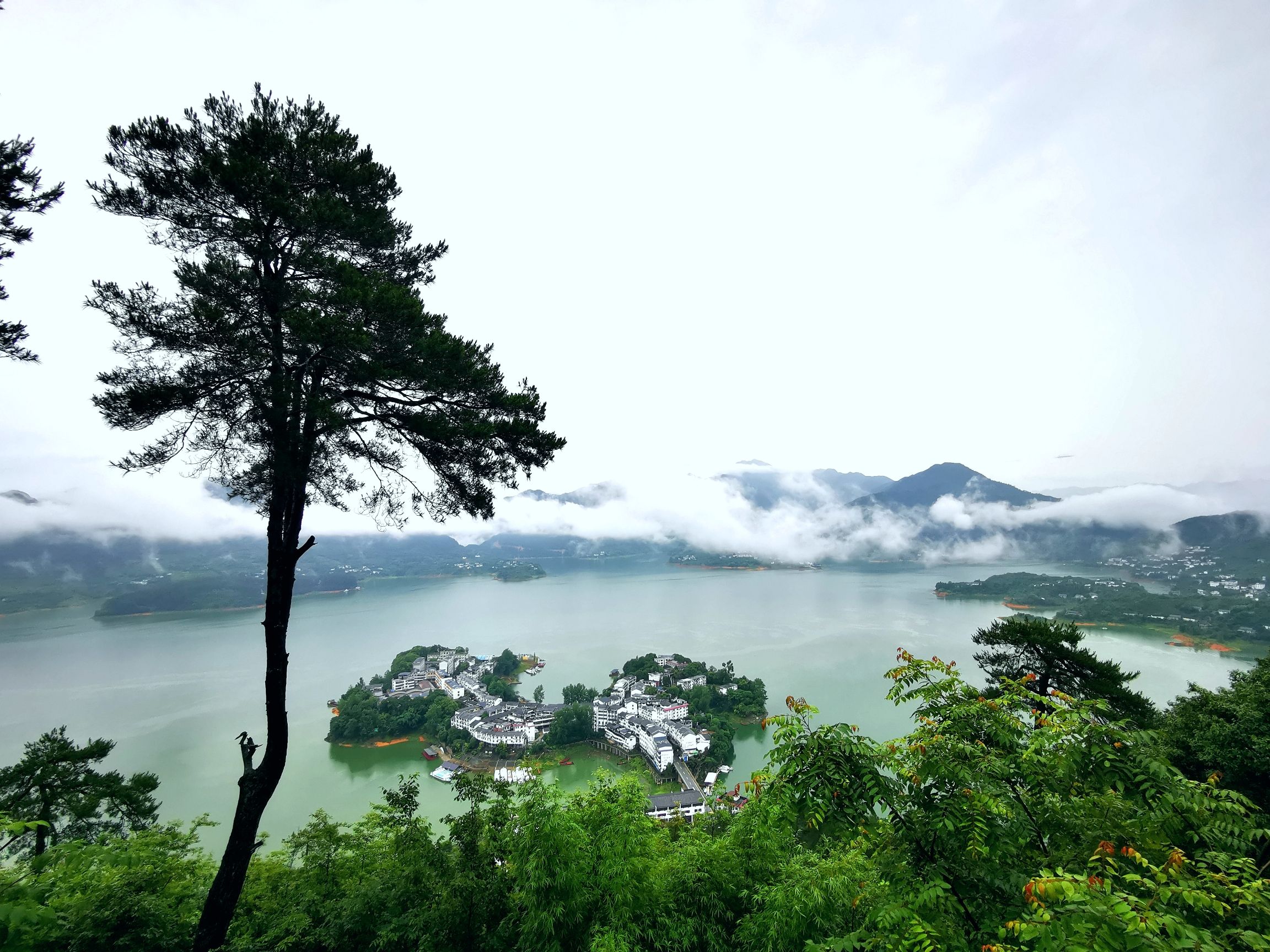 黄草镇金牛岛旅行图片 1