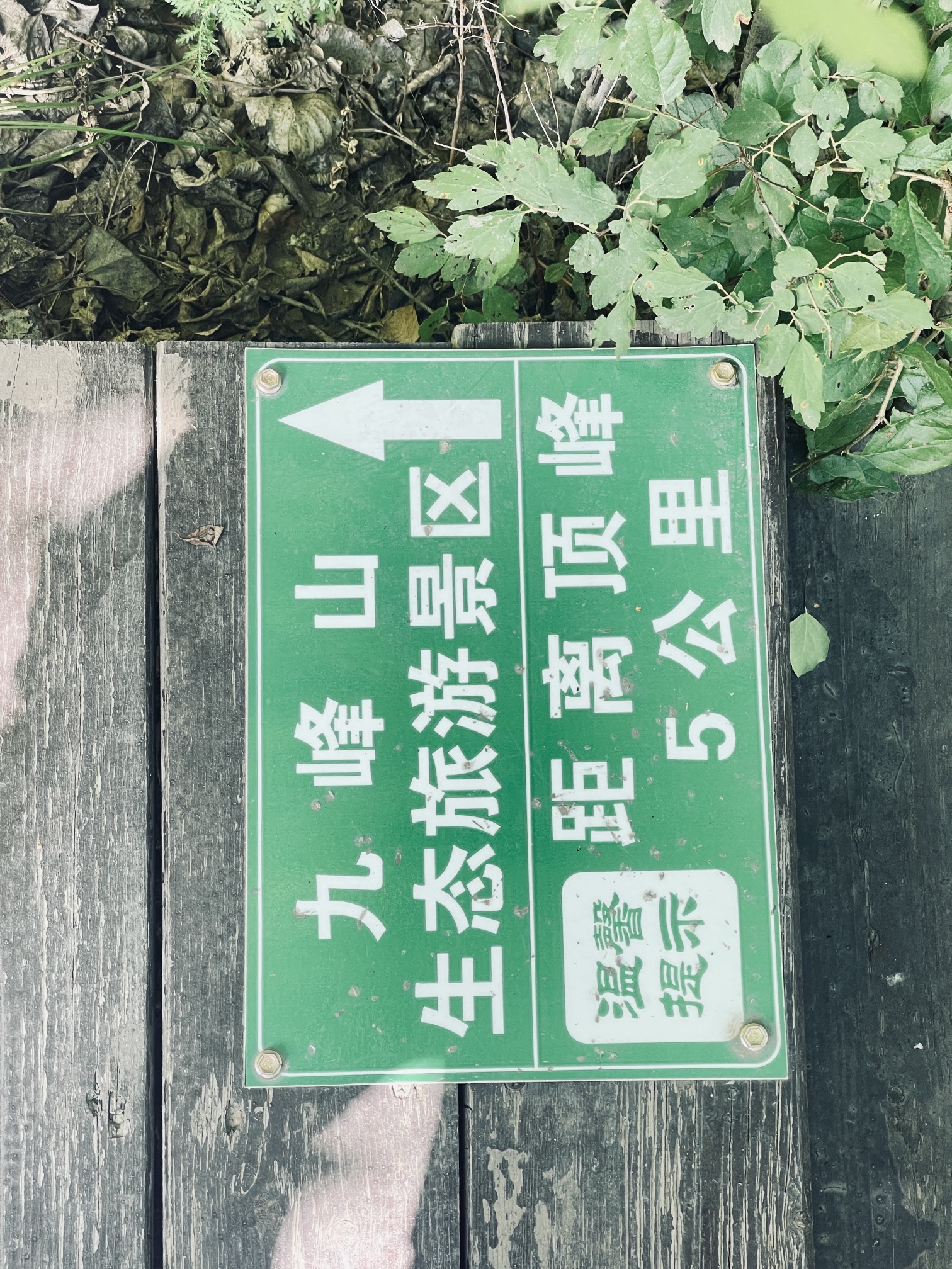 九峰山生态旅游景区(暂停开放)旅行图片 3