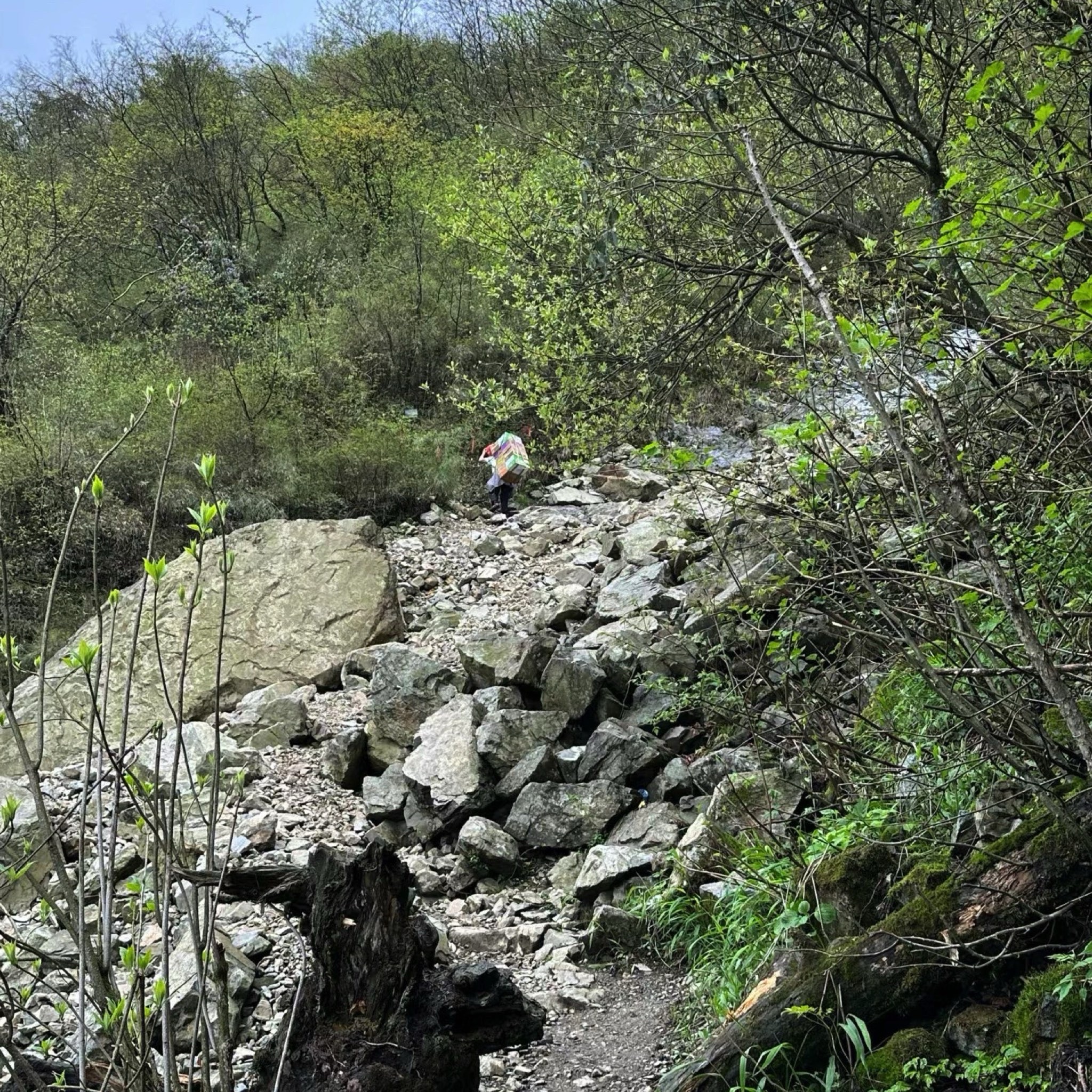 九峰山生态旅游景区(暂停开放)旅行图片 3