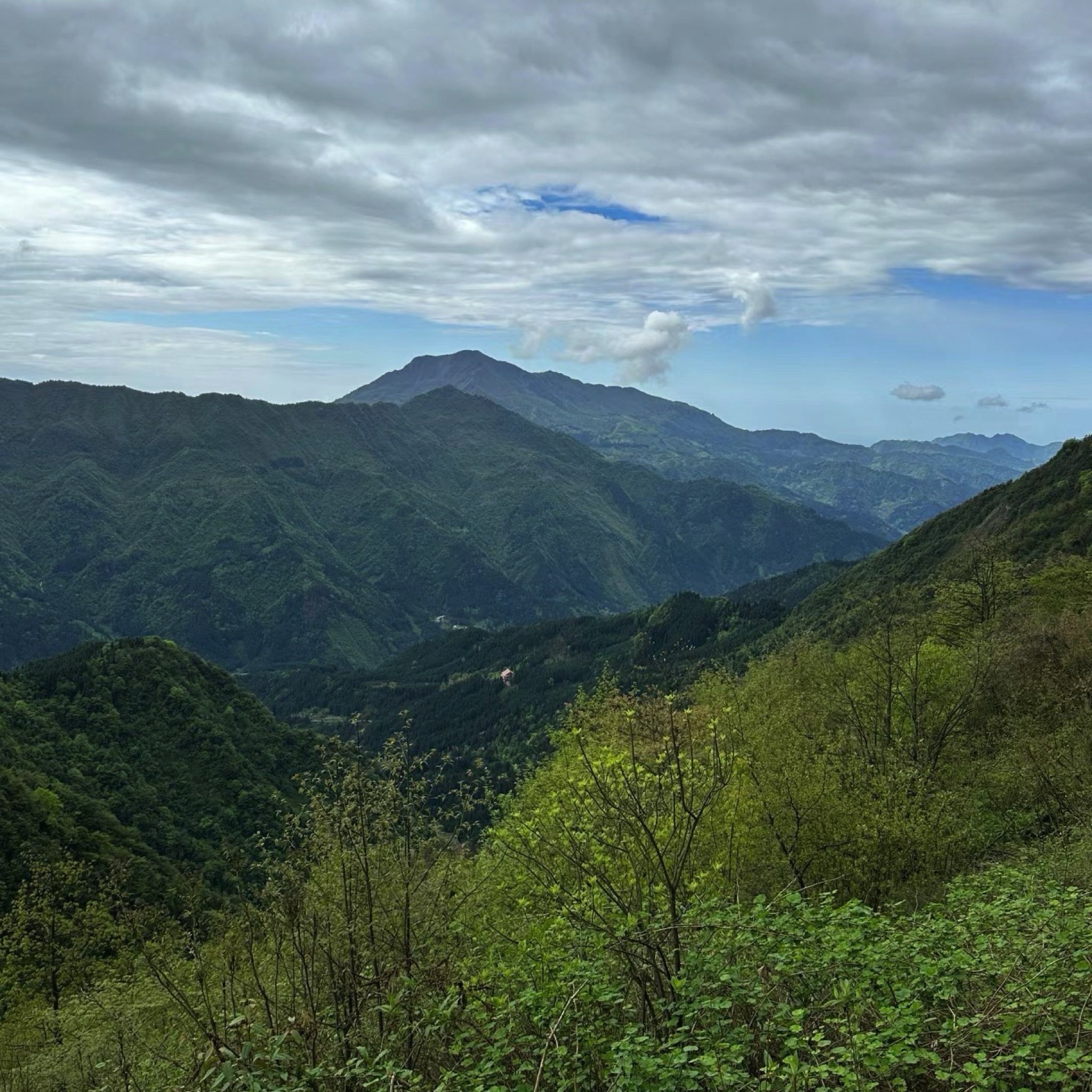 九峰山生态旅游景区(暂停开放)旅行图片 2