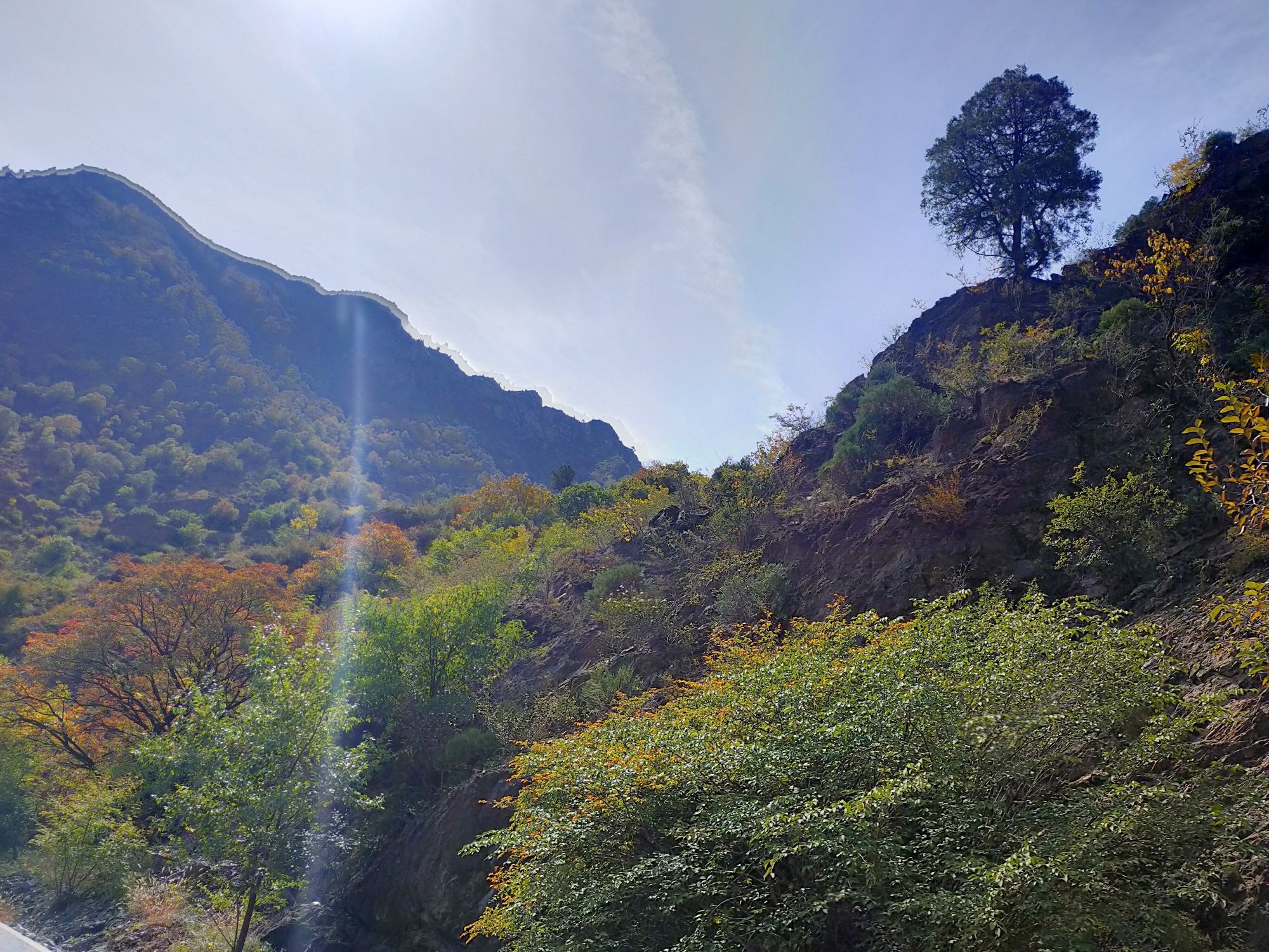 九峰山生态旅游景区(暂停开放)旅行图片 1
