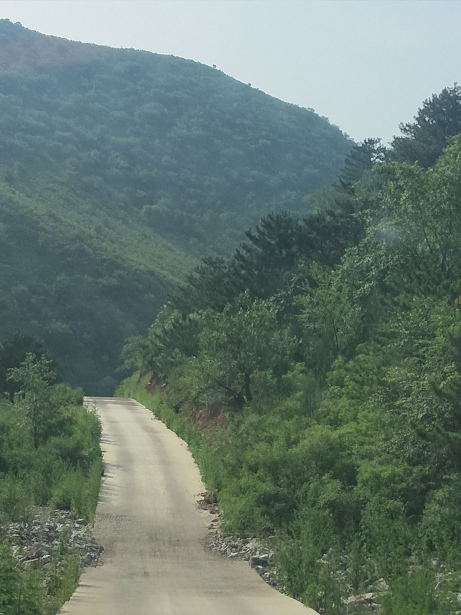 青龙古洞旅行图片 3