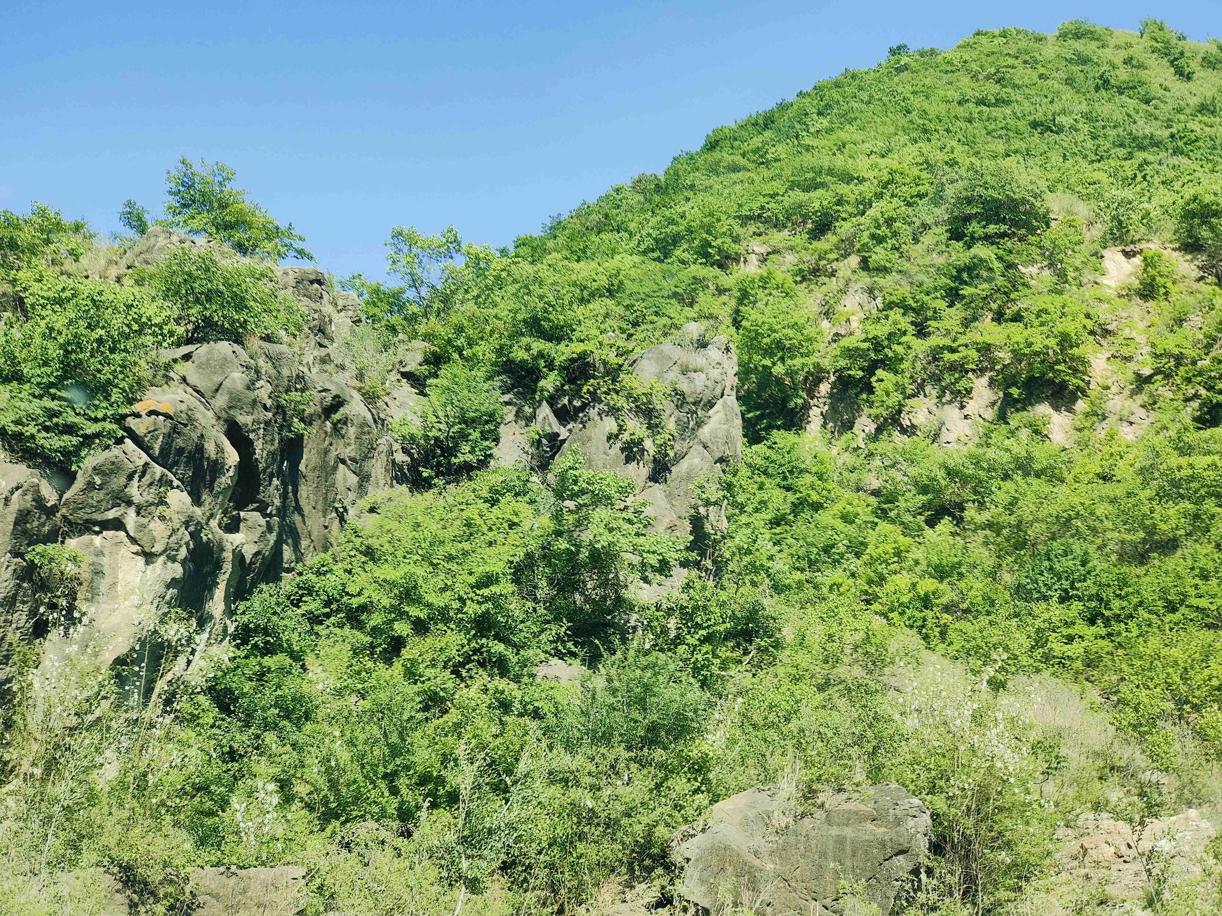 青龙古洞旅行图片 3